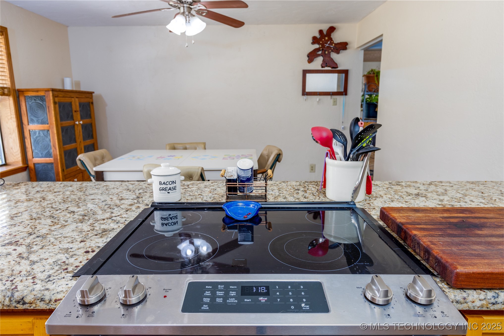 653 Max Street Property Photo 56