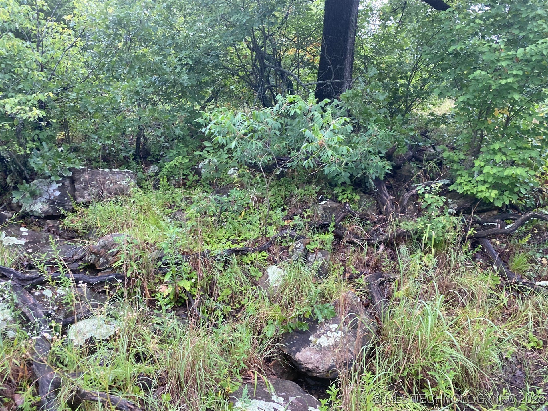 Lake Road Property Photo 2