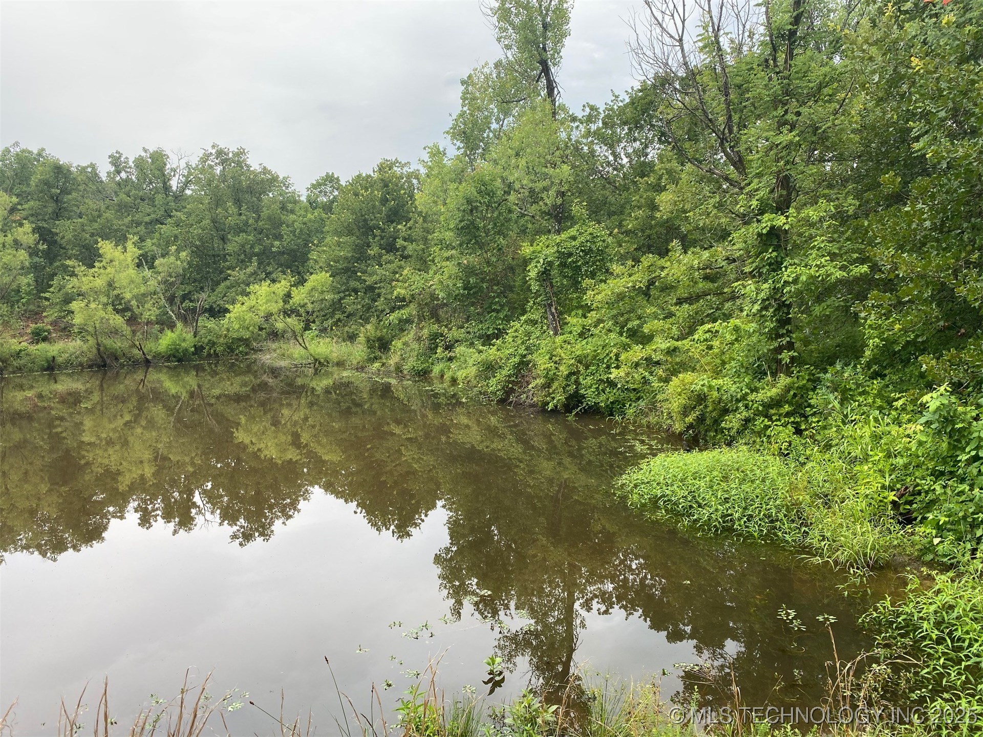 Lake Road Property Photo 4