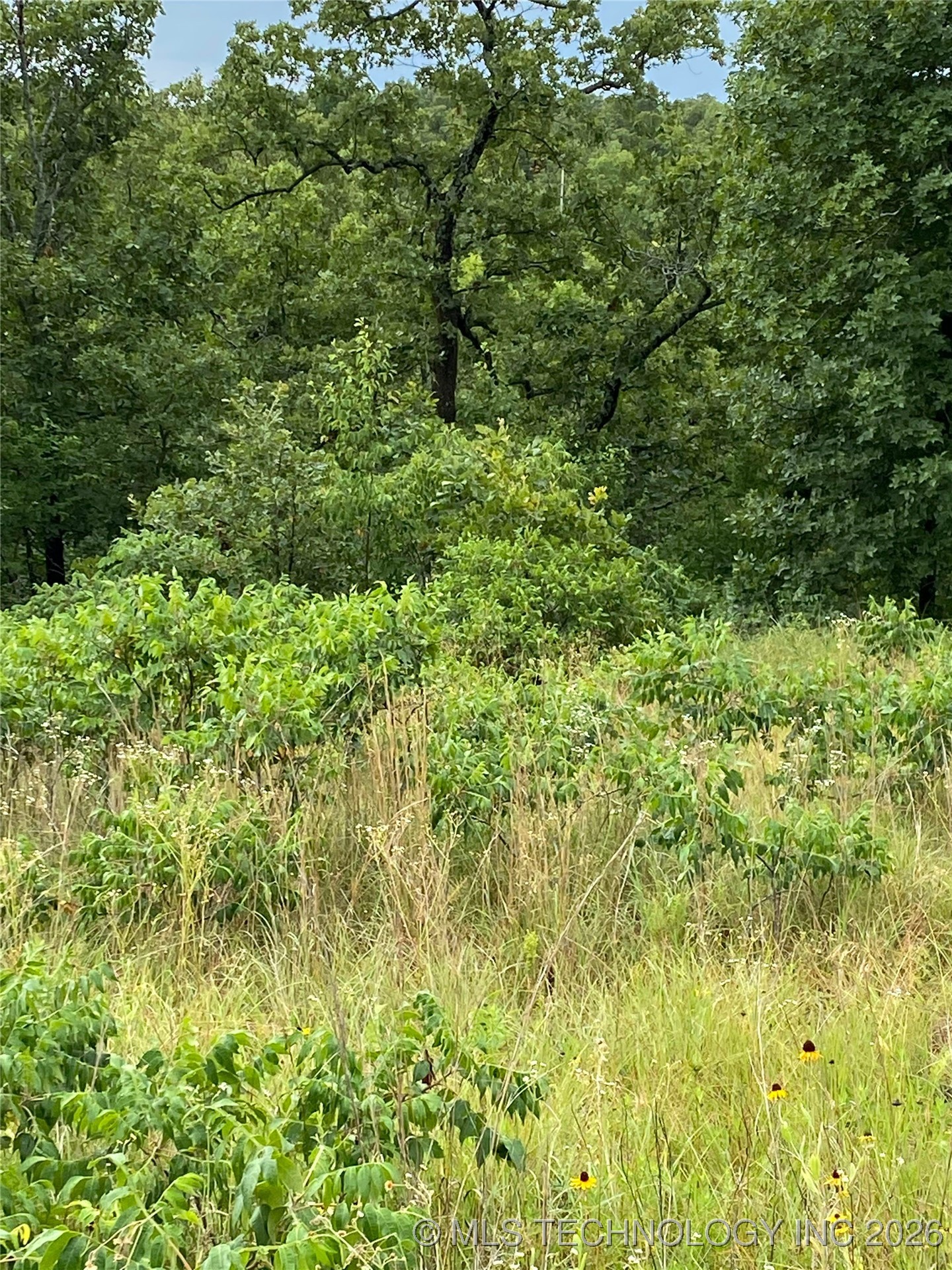 Lake Road Property Photo 6