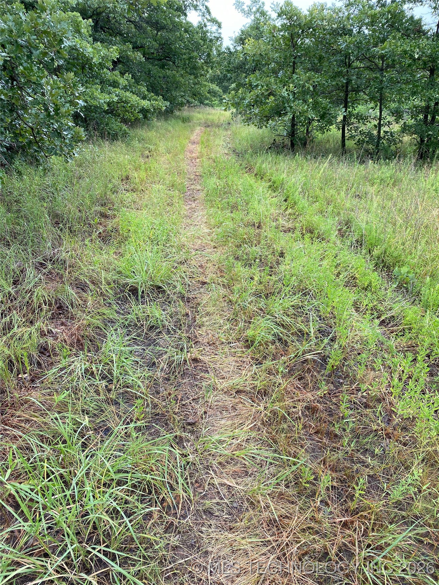 Lake Road Property Photo 7