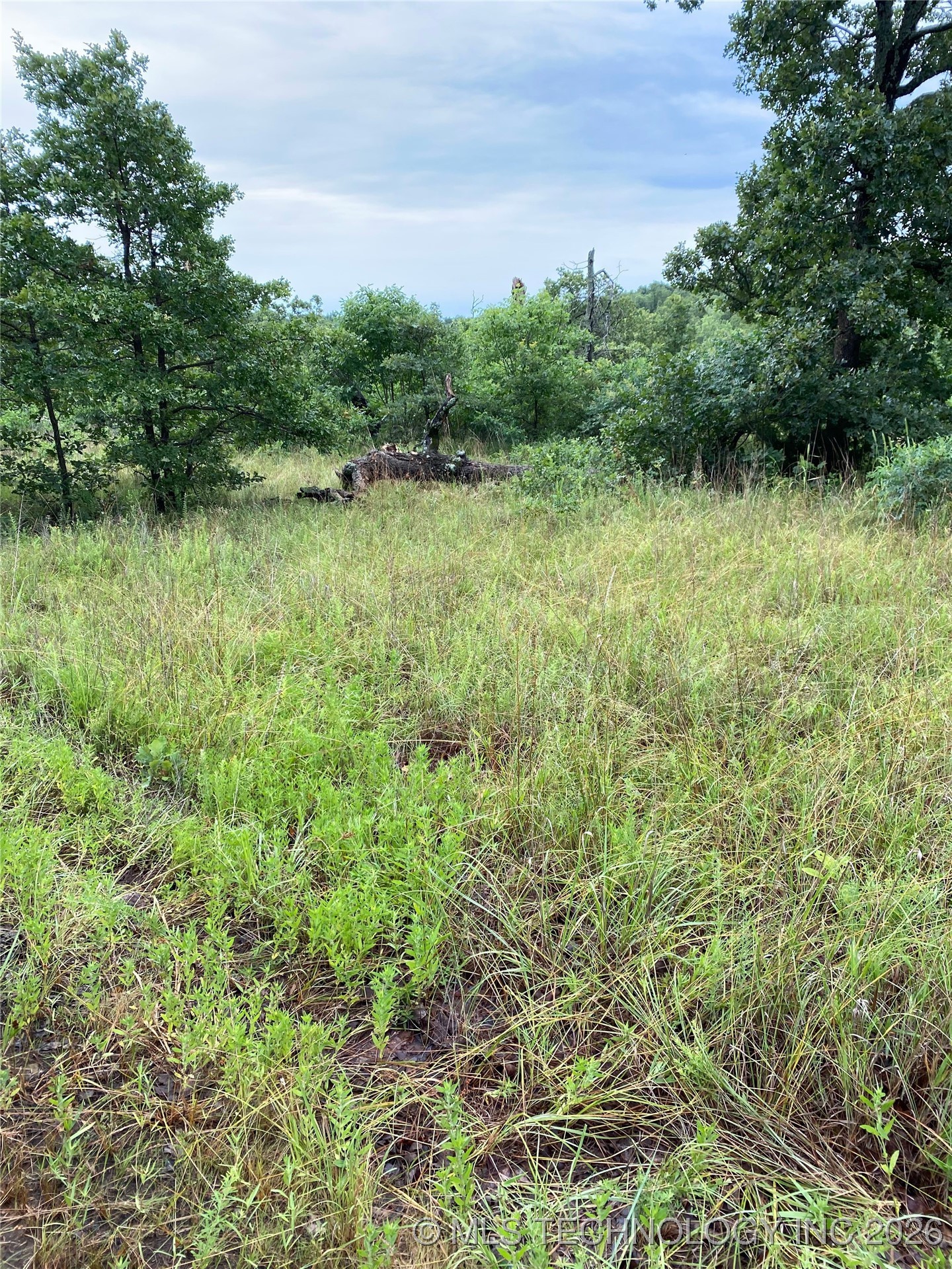 Lake Road Property Photo 8