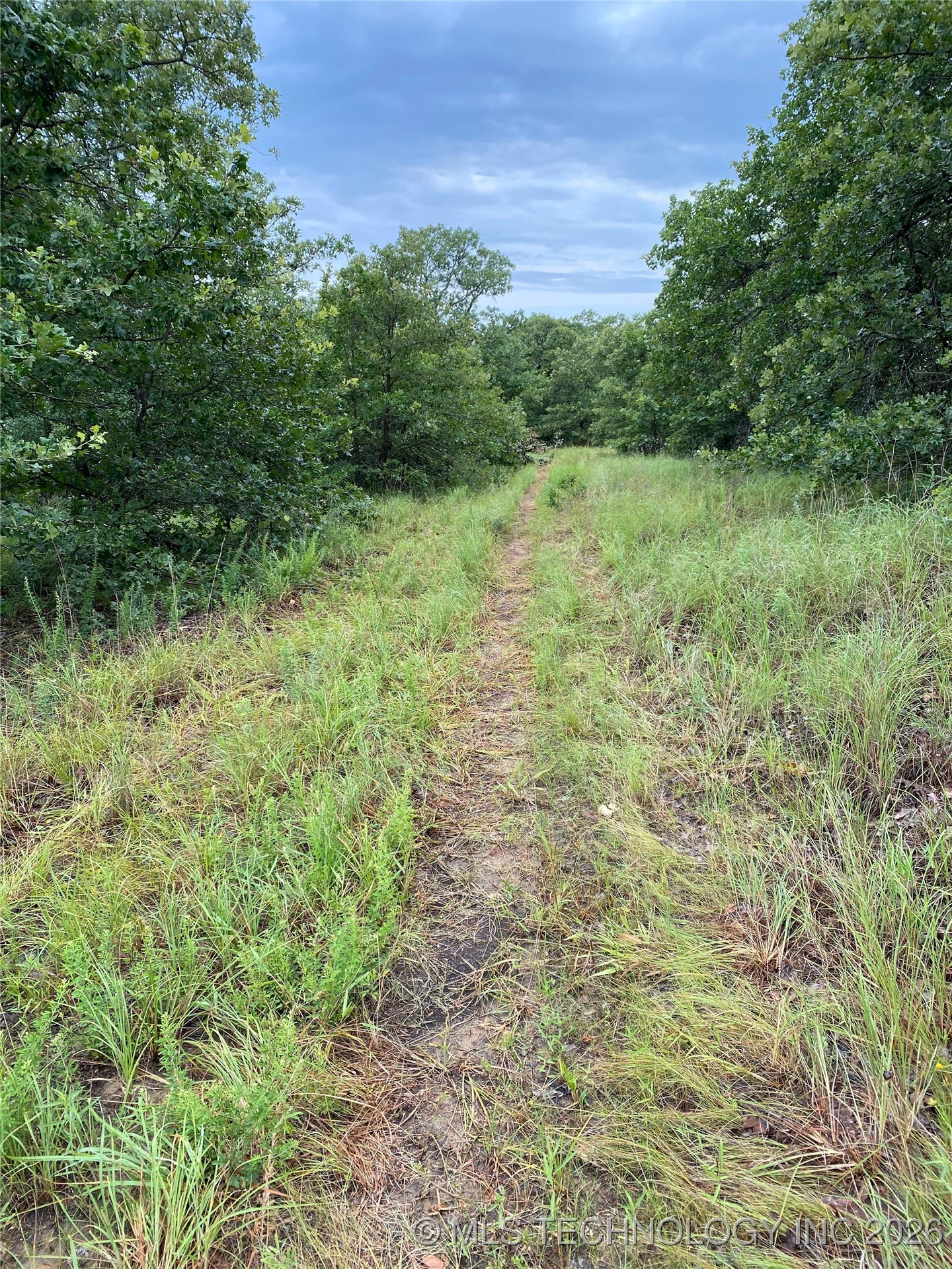 Lake Road Property Photo 9