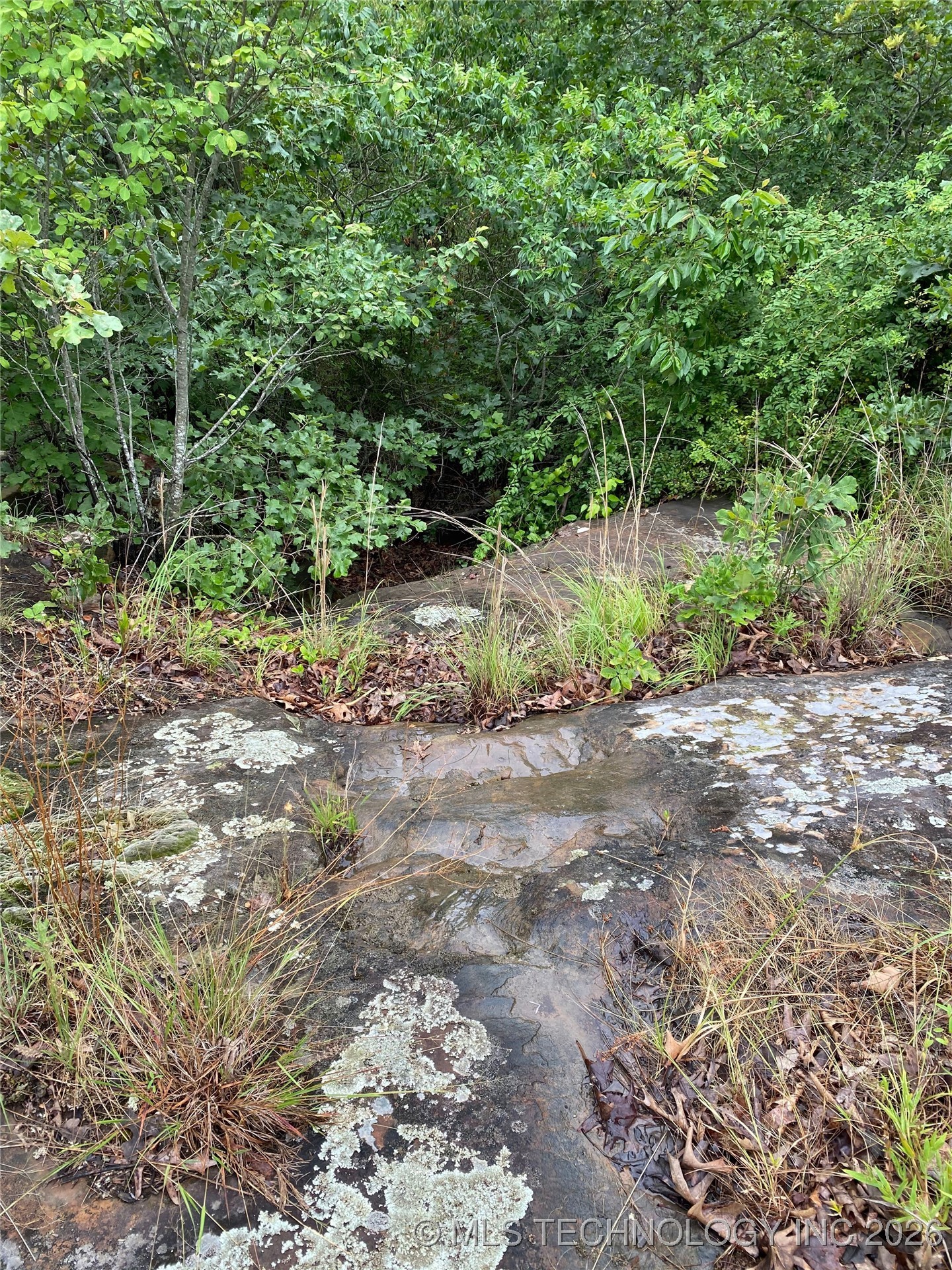 Lake Road Property Photo 10