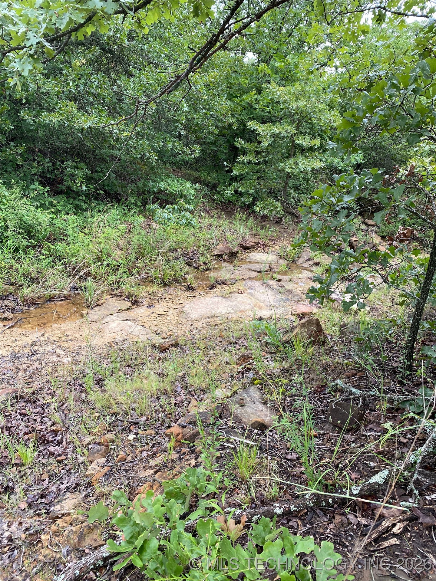 Lake Road Property Photo 12