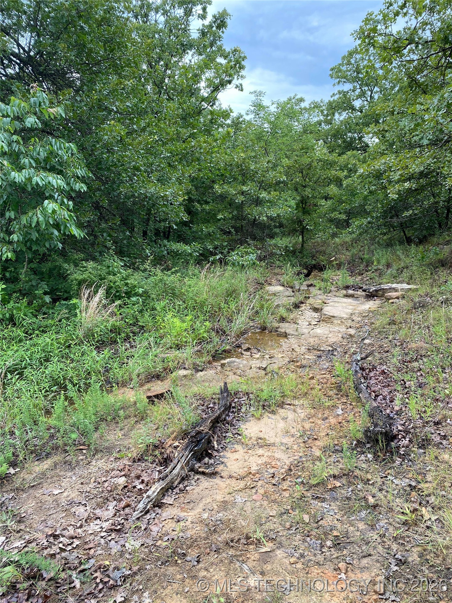 Lake Road Property Photo 14