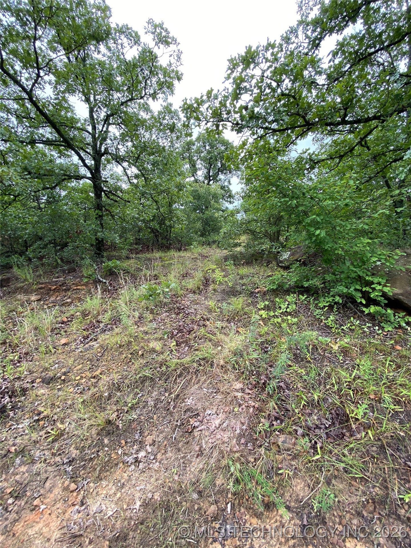 Lake Road Property Photo 15