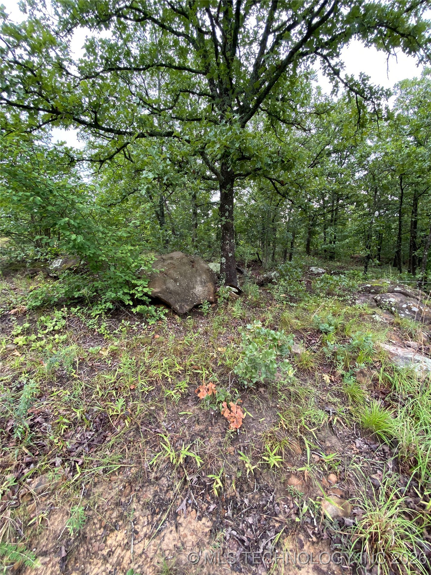 Lake Road Property Photo 16