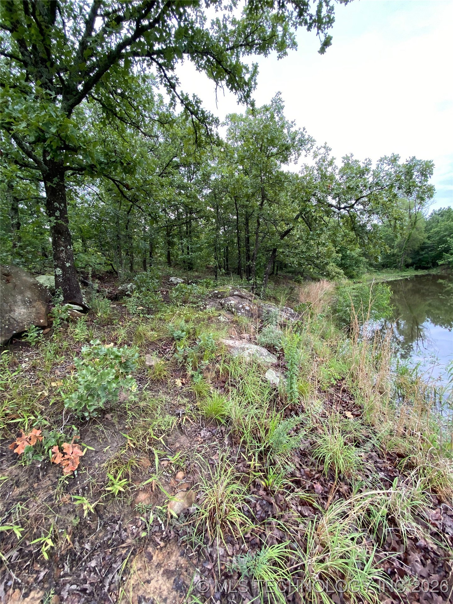 Lake Road Property Photo 17