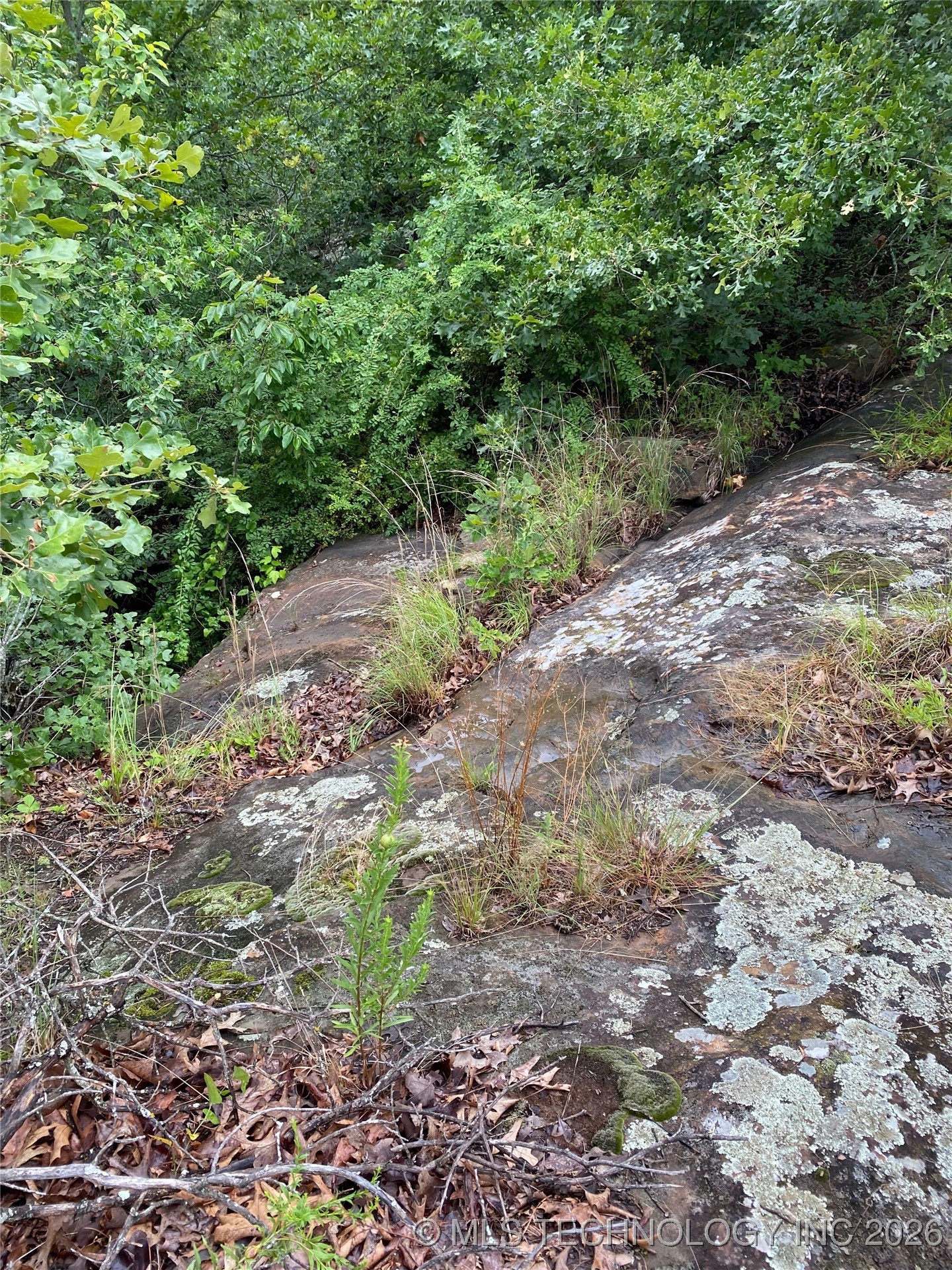 Lake Road Property Photo 18