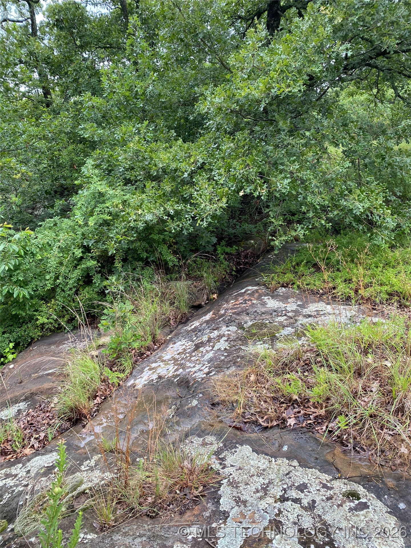 Lake Road Property Photo 19