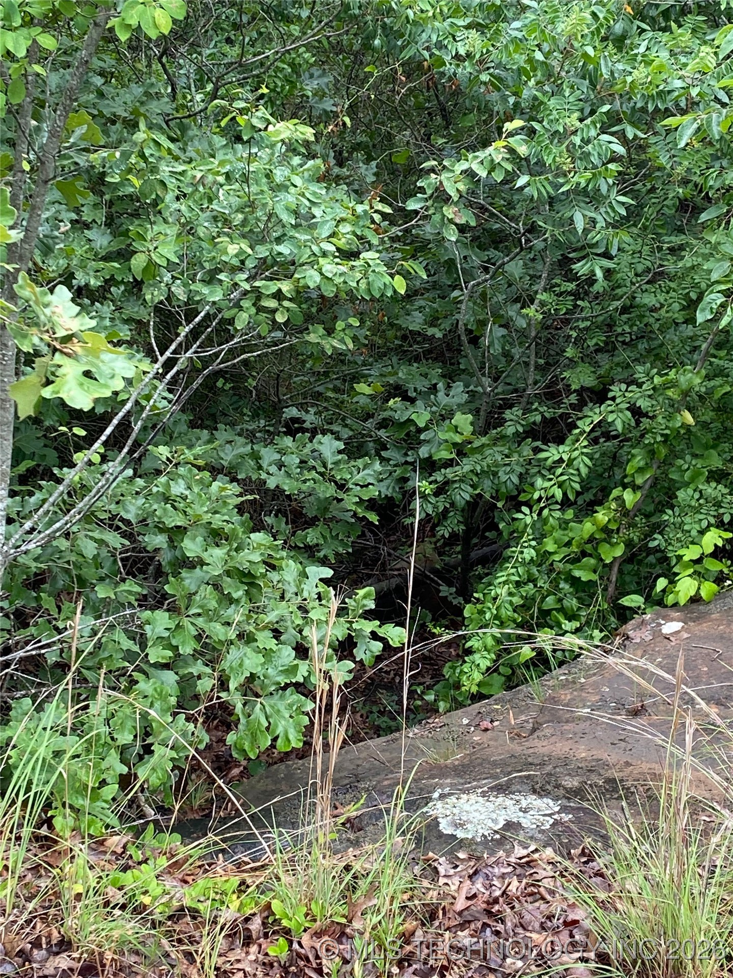 Lake Road Property Photo 20