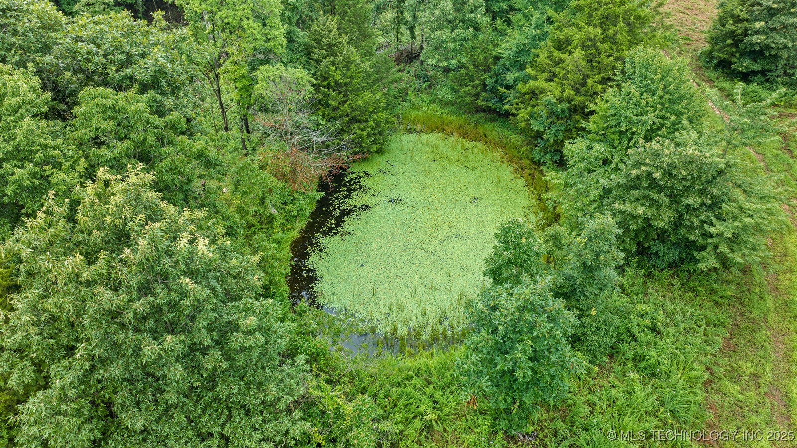 472851 E 893 Road Property Photo 5