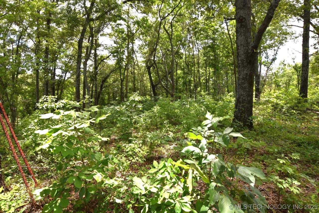 472851 E 893 Road Property Photo 21