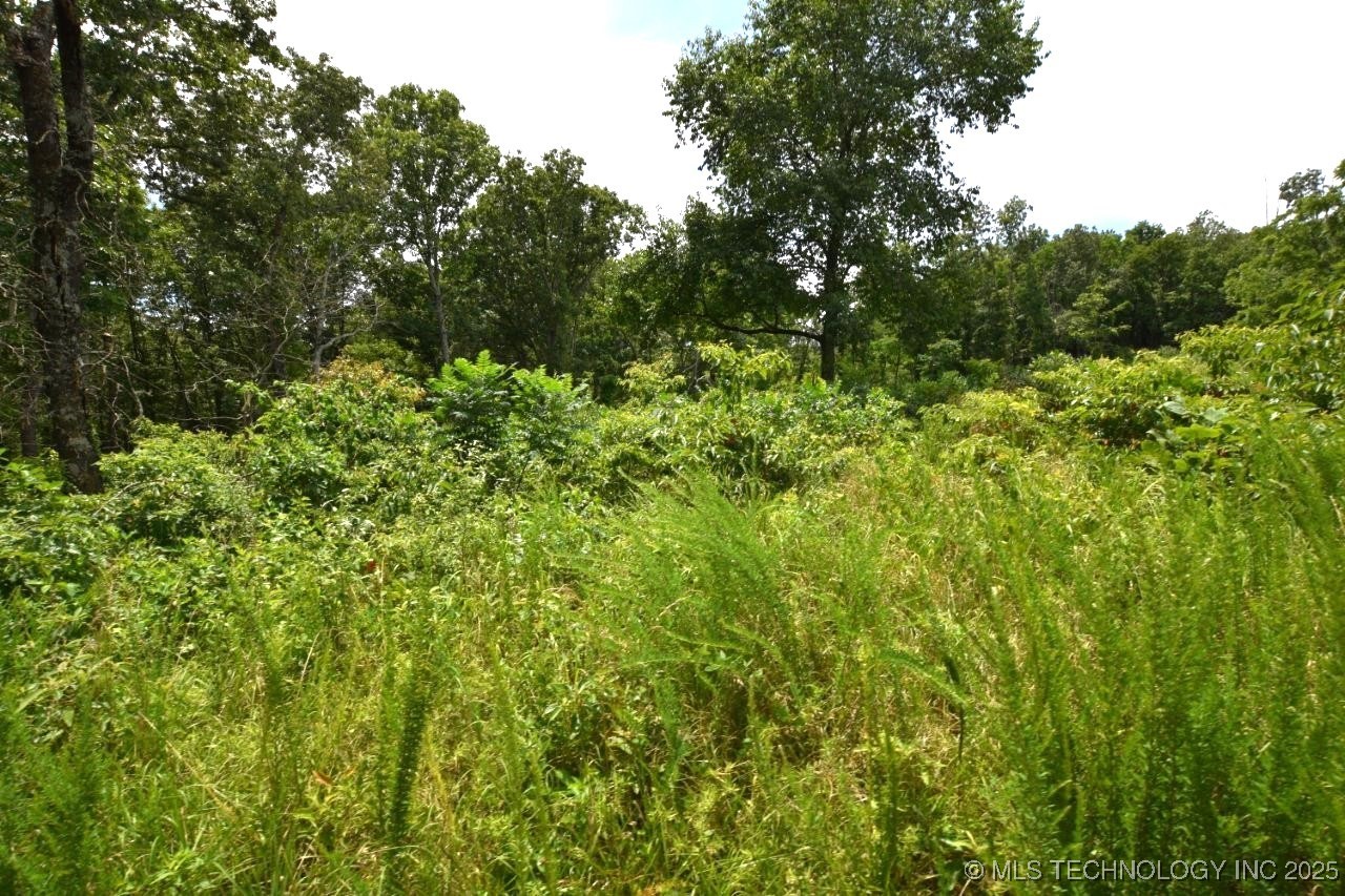 472851 E 893 Road Property Photo 22