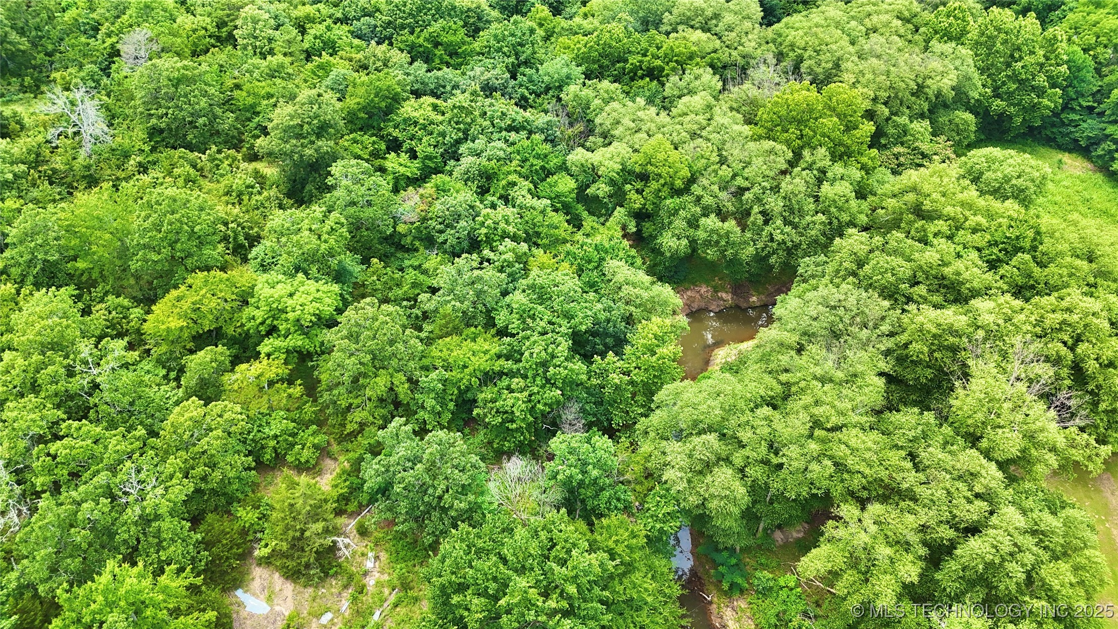 30813 W Beaver Mountain Road Property Photo 38