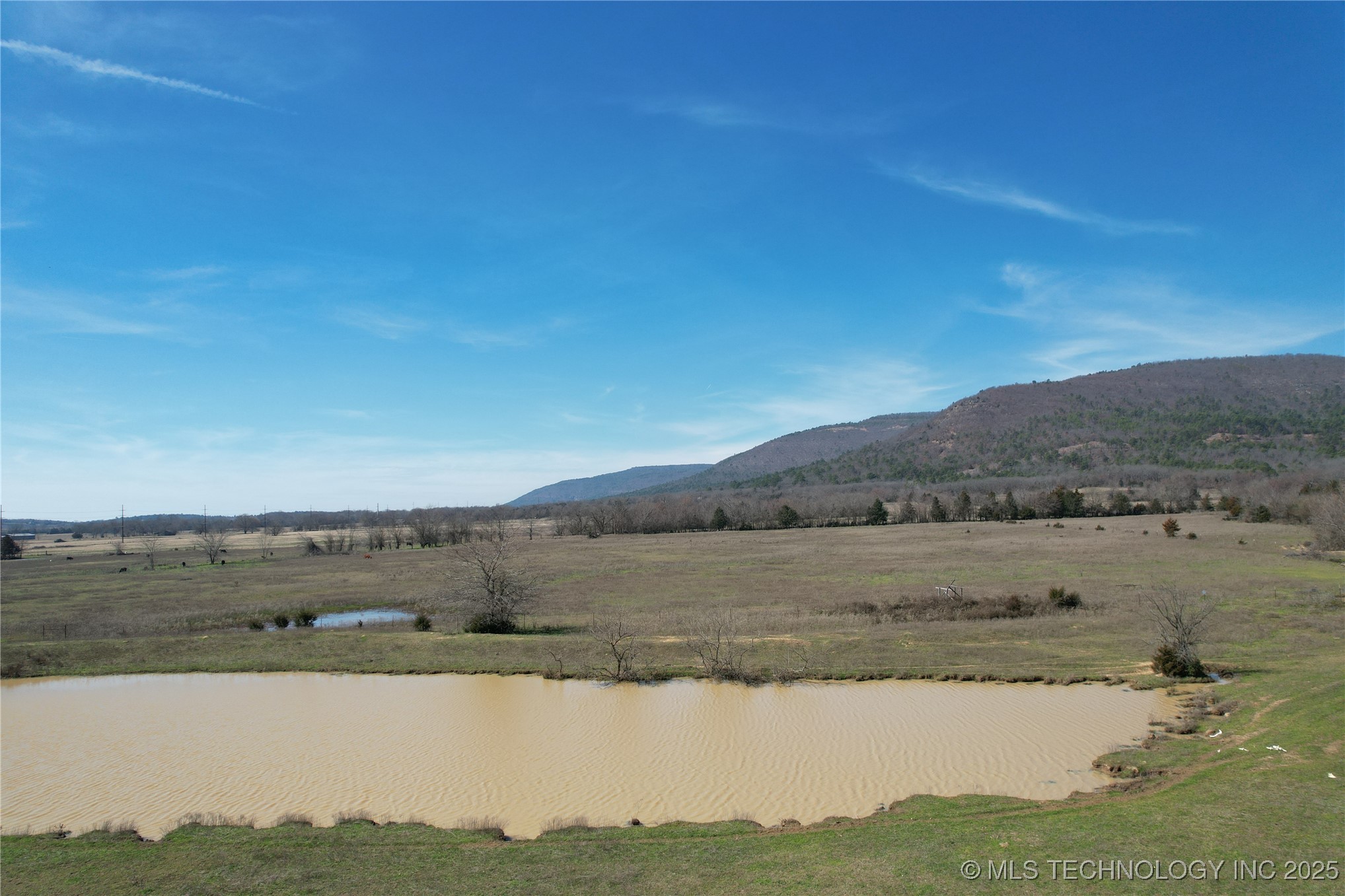 Nw Maple Property Photo 14