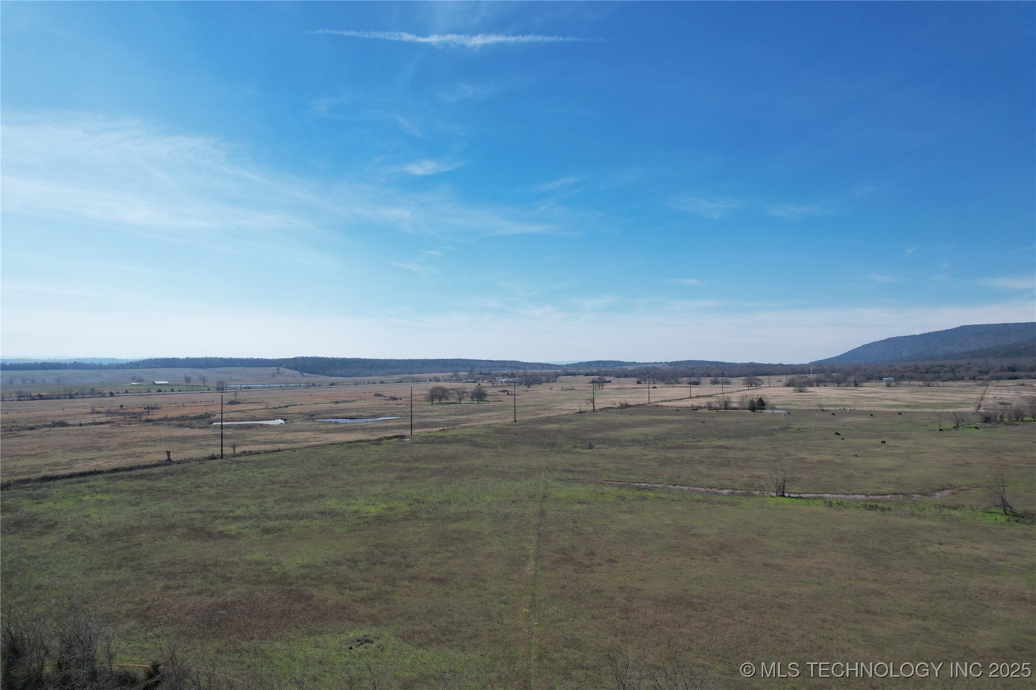 Nw Maple Property Photo 16