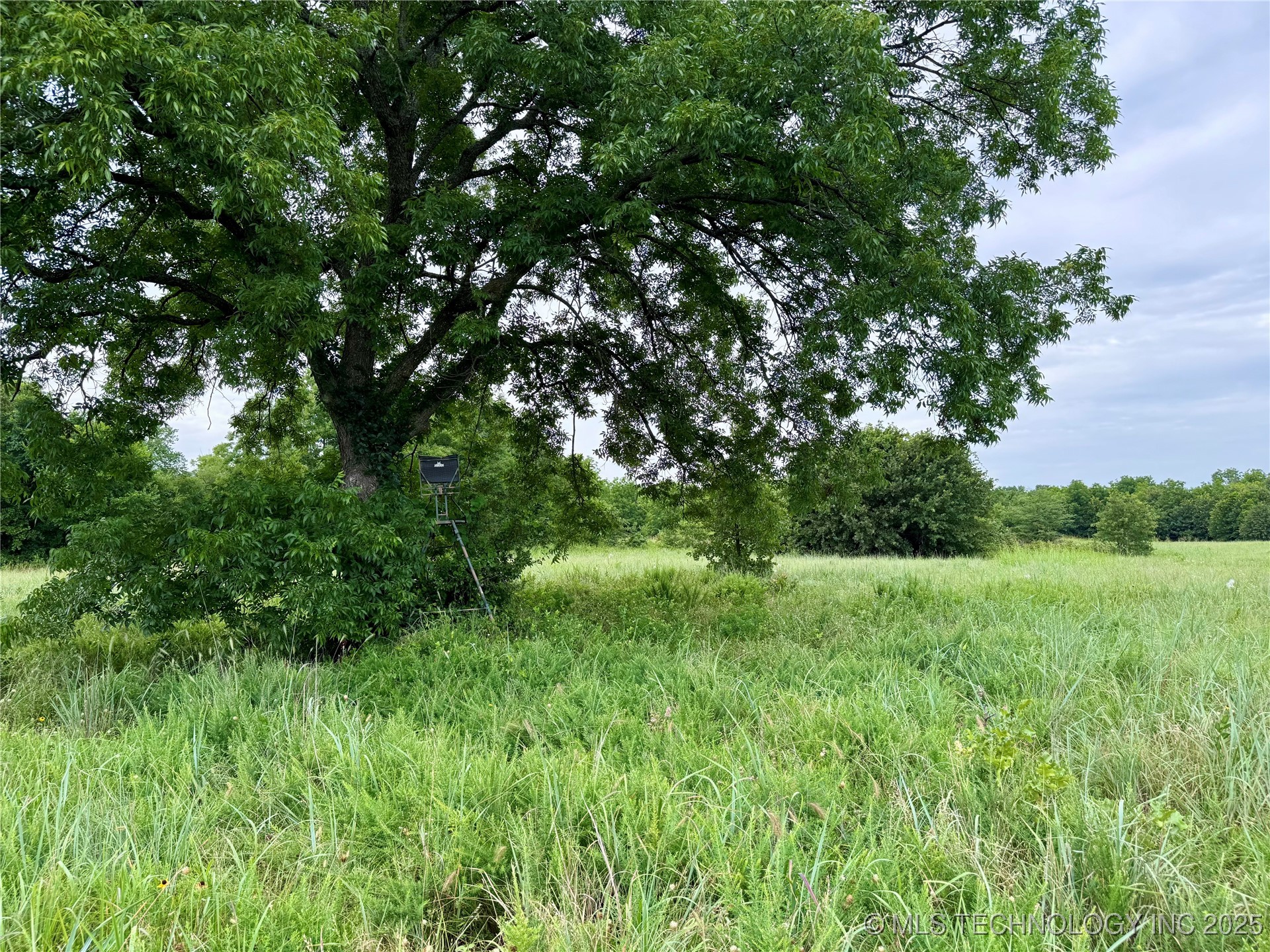 3691 No Man Road Property Photo 8