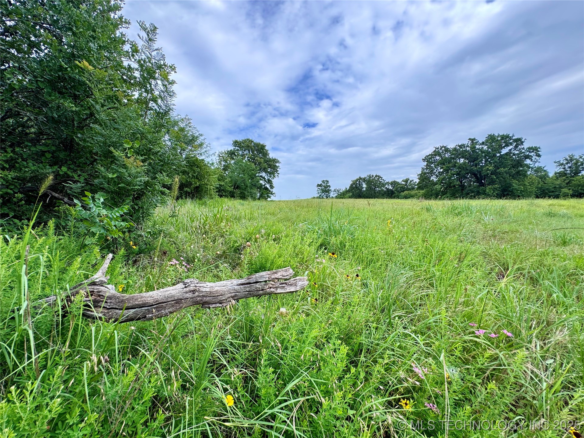 3691 No Man Road Property Photo 21