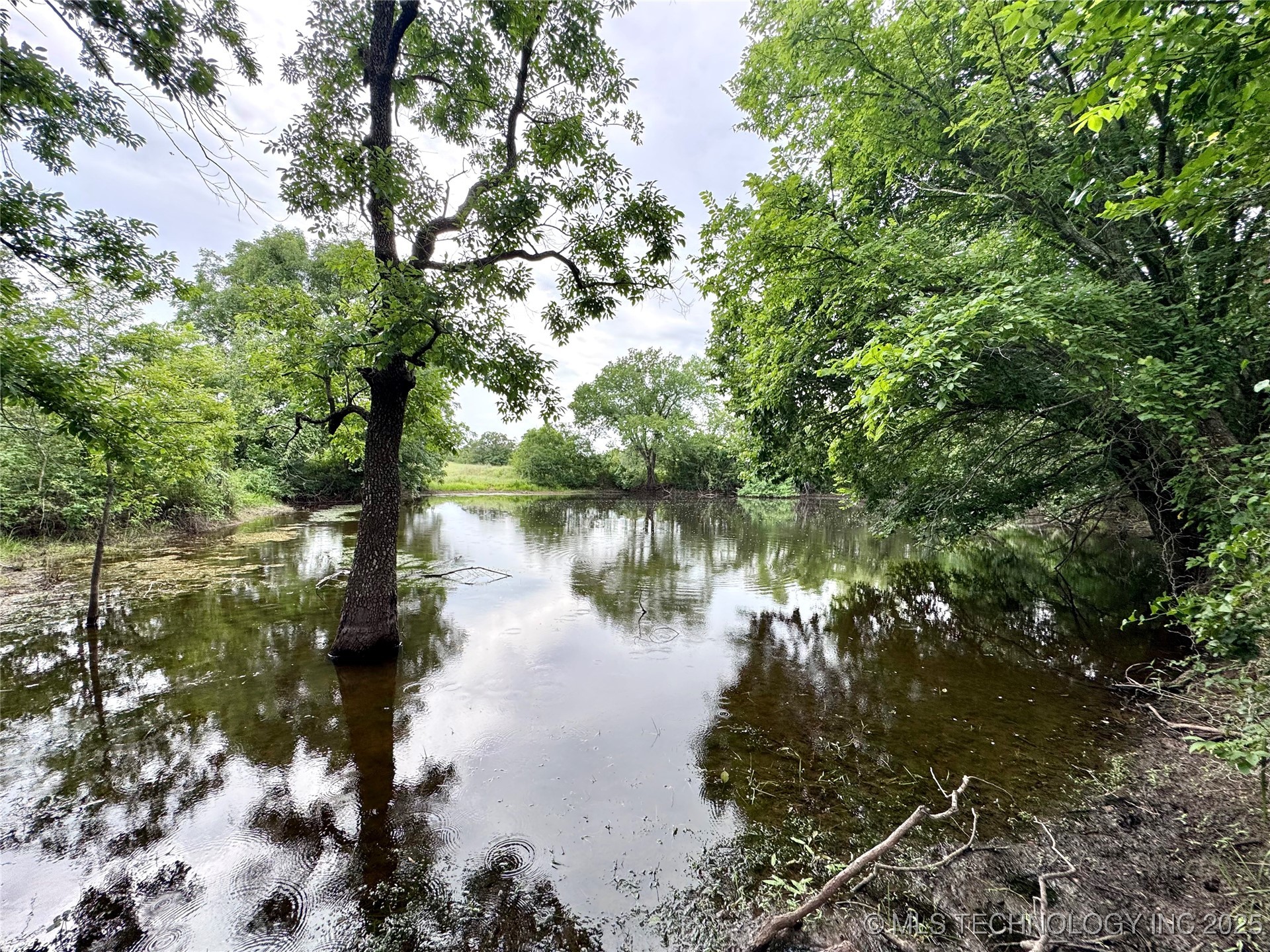 3691 No Man Road Property Photo 28