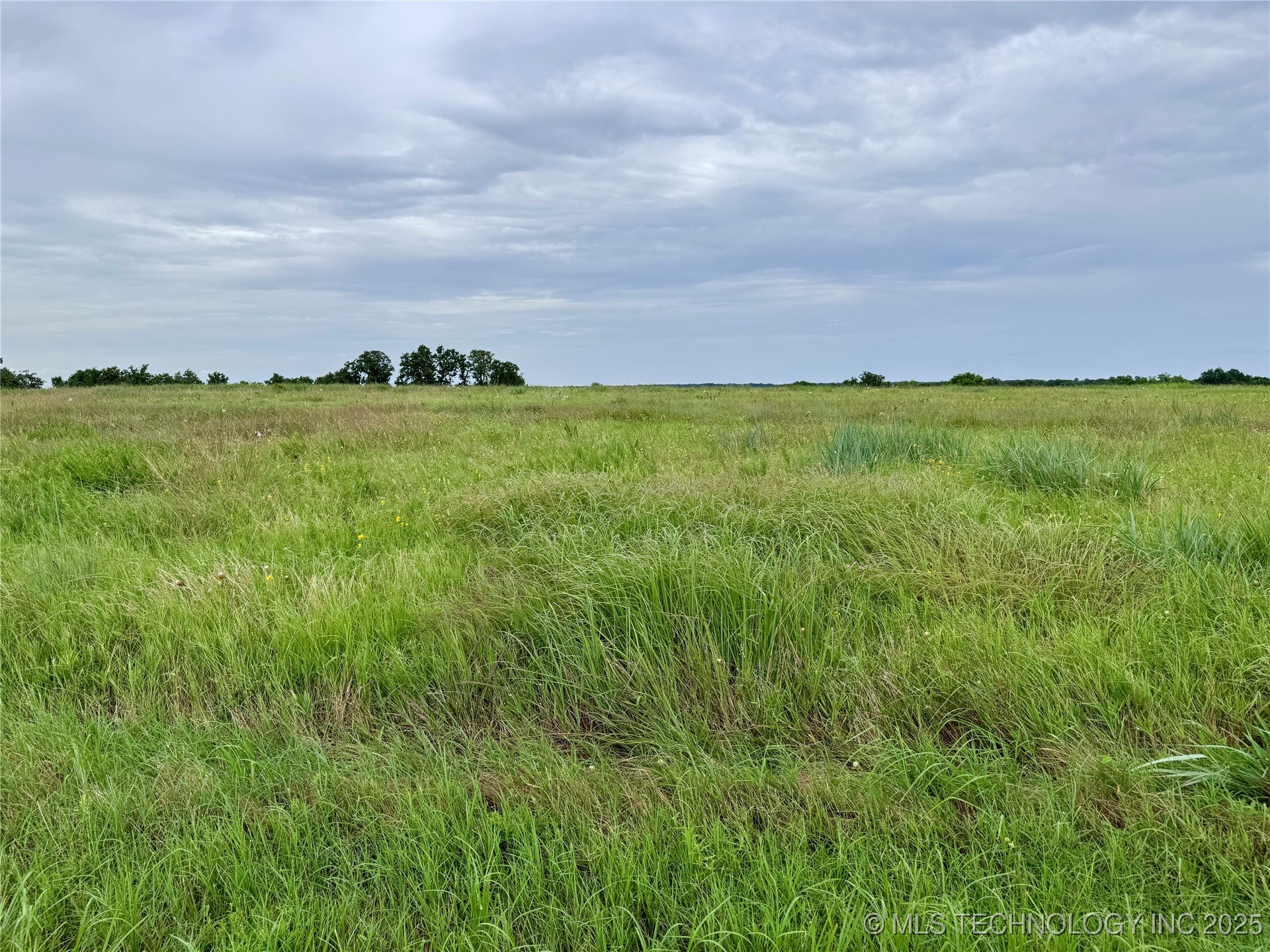 3691 No Man Road Property Photo 30