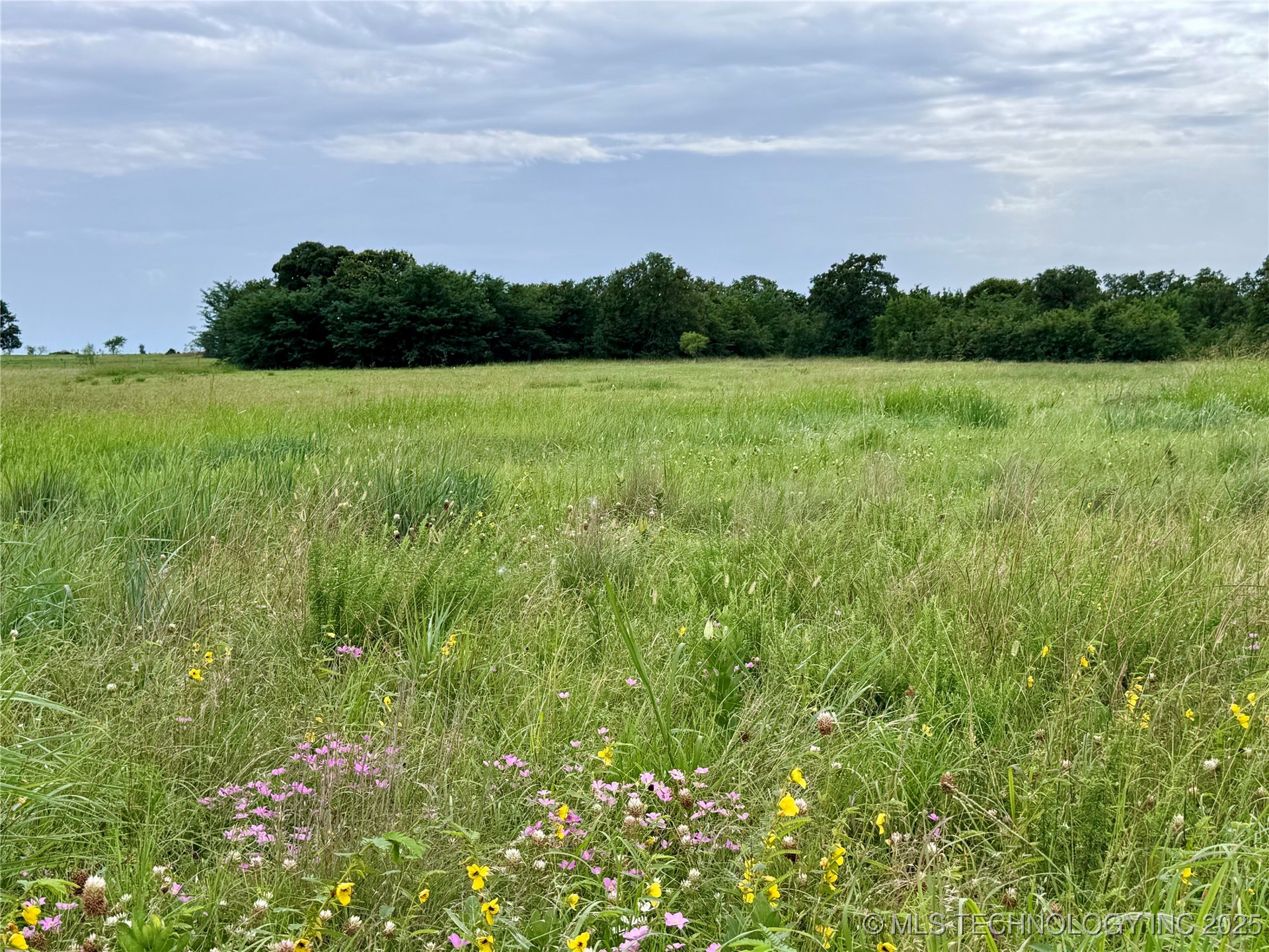 3691 No Man Road Property Photo 31