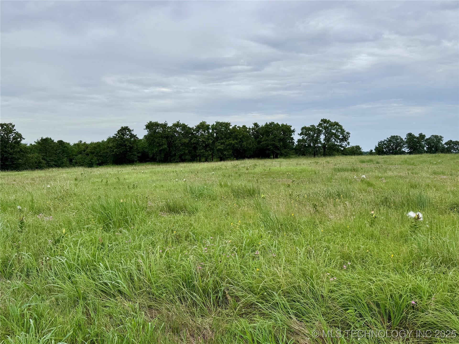 3691 No Man Road Property Photo 32