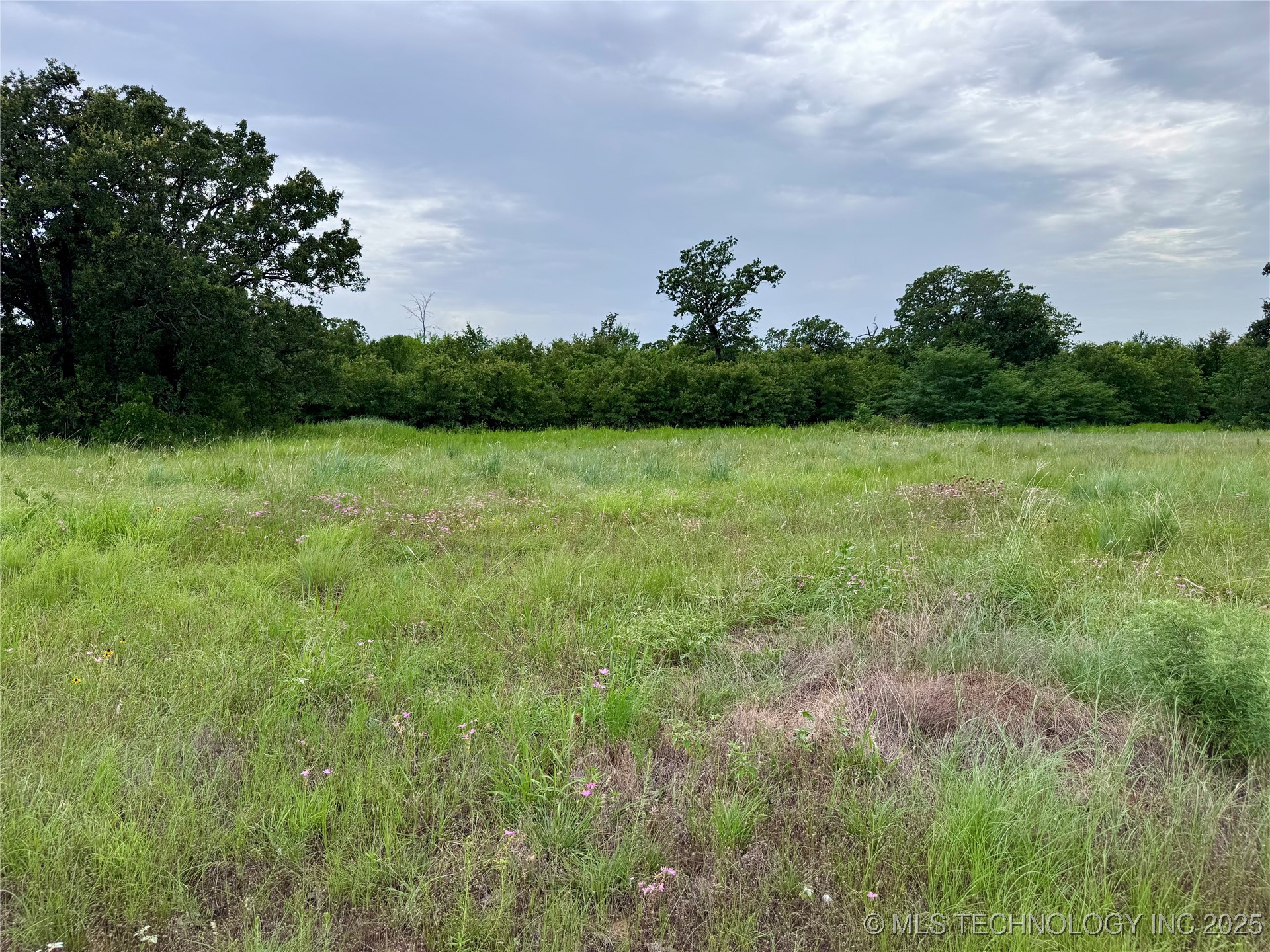 3691 No Man Road Property Photo 35