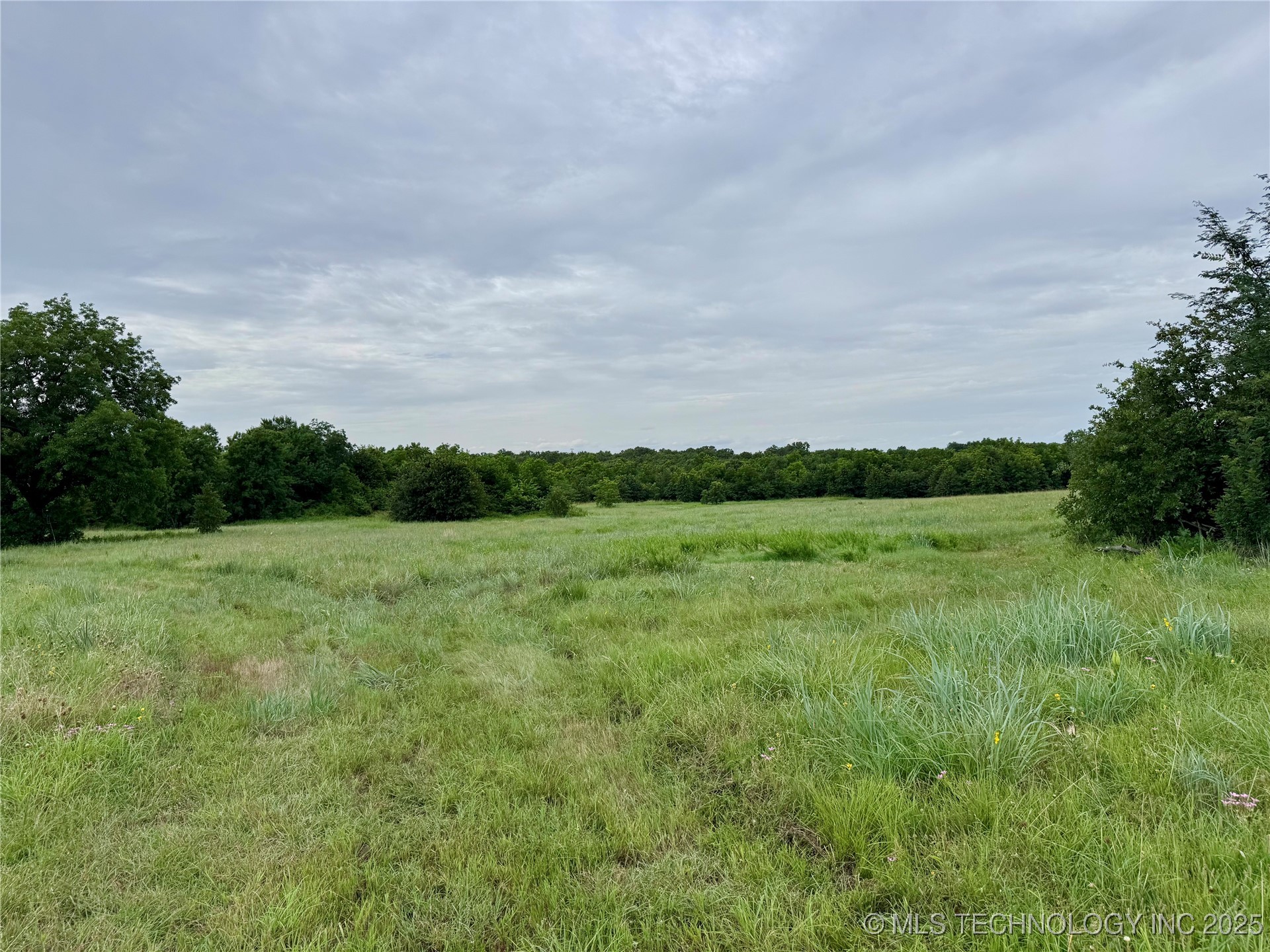 3691 No Man Road Property Photo 38