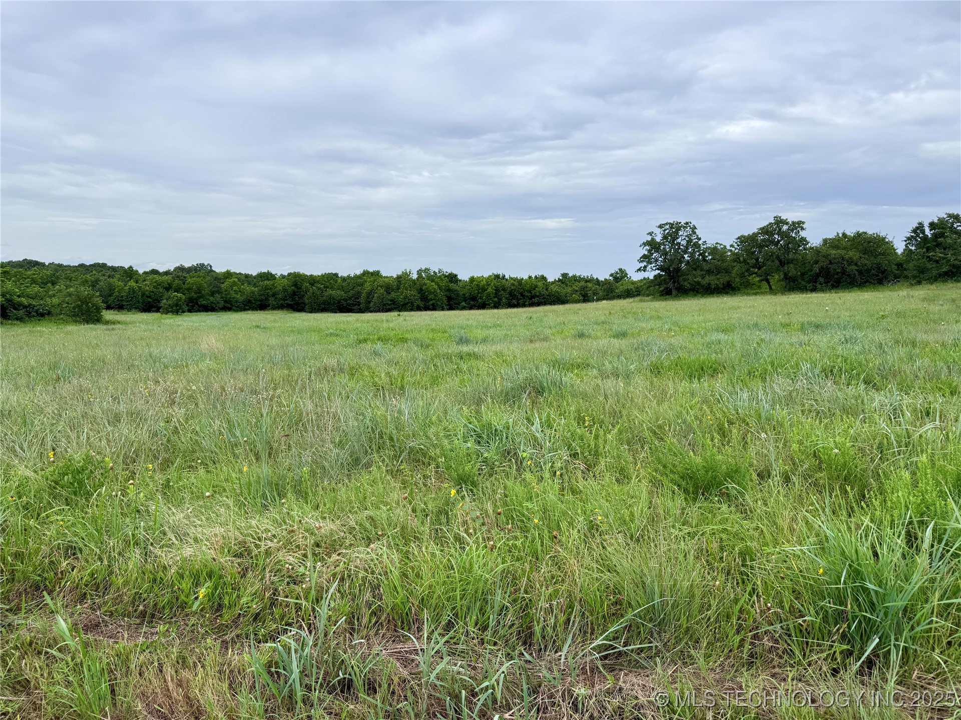 3691 No Man Road Property Photo 39