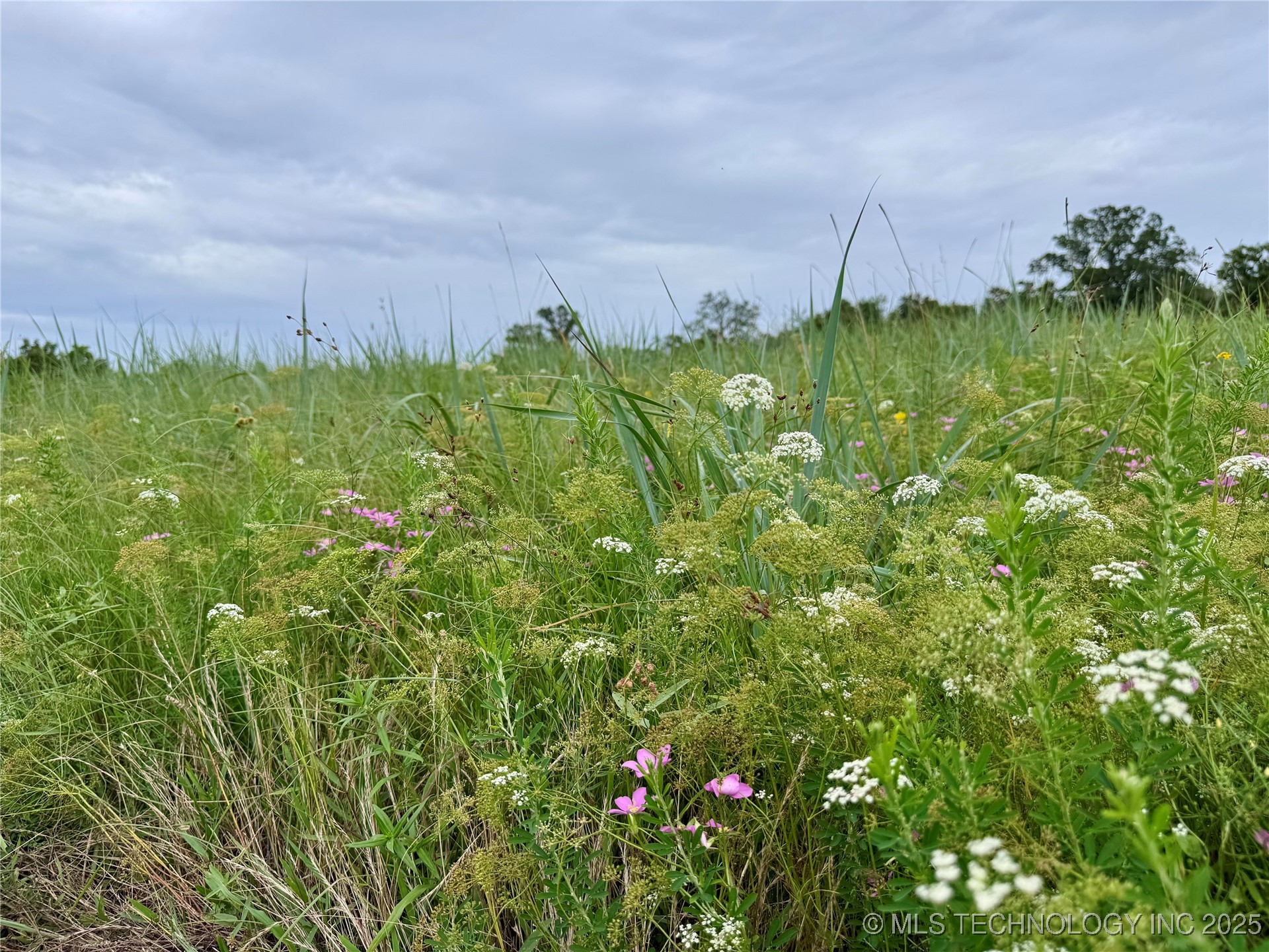 3691 No Man Road Property Photo 42