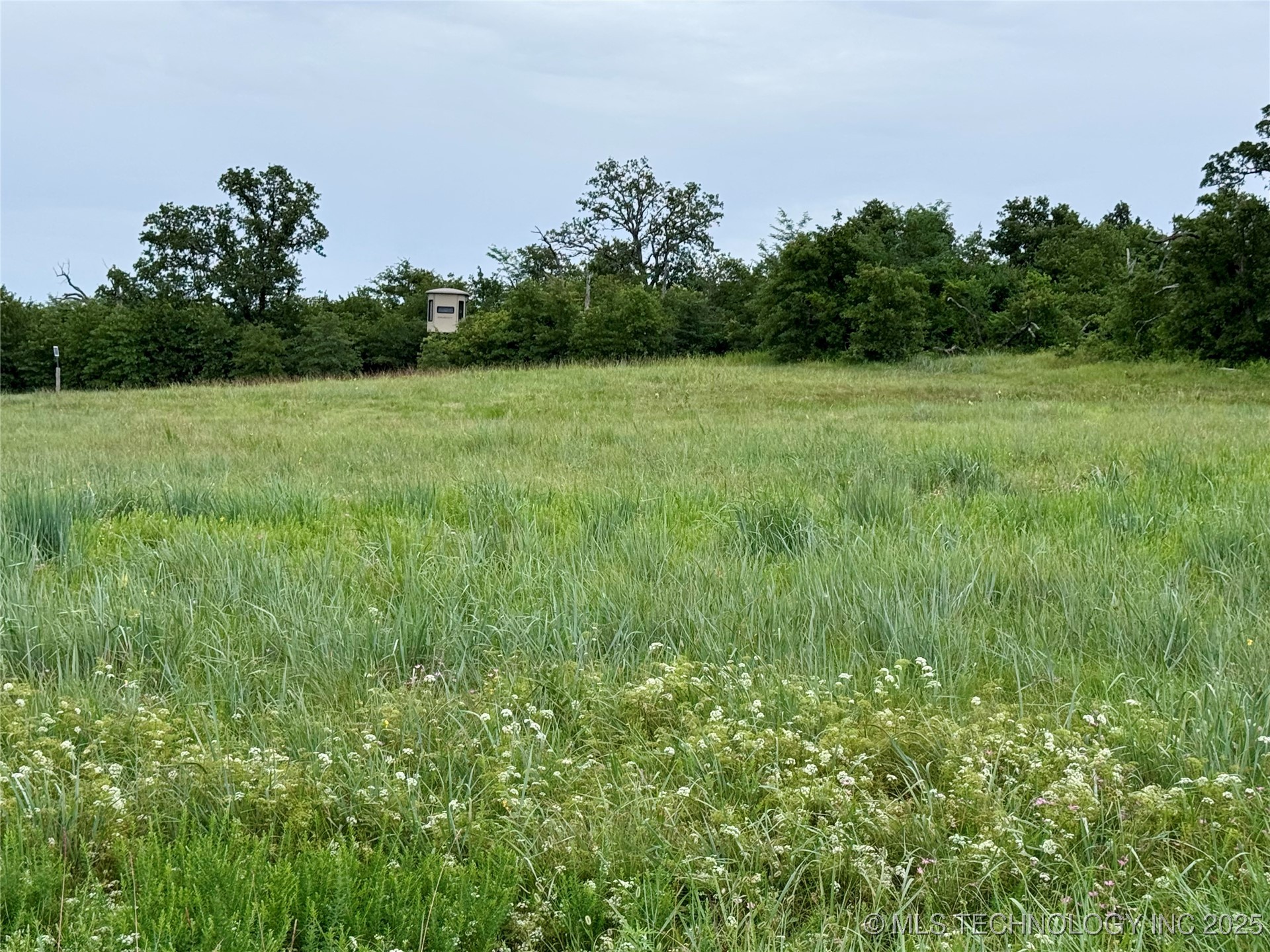 3691 No Man Road Property Photo 45