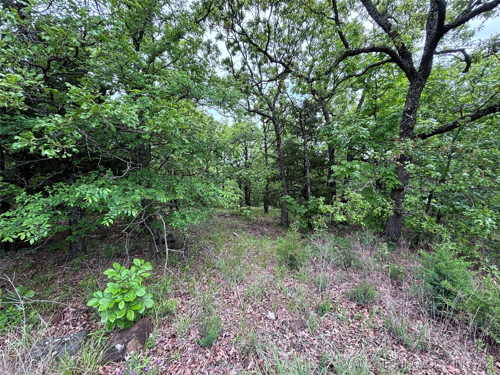 Bristow Point Road Property Photo 4