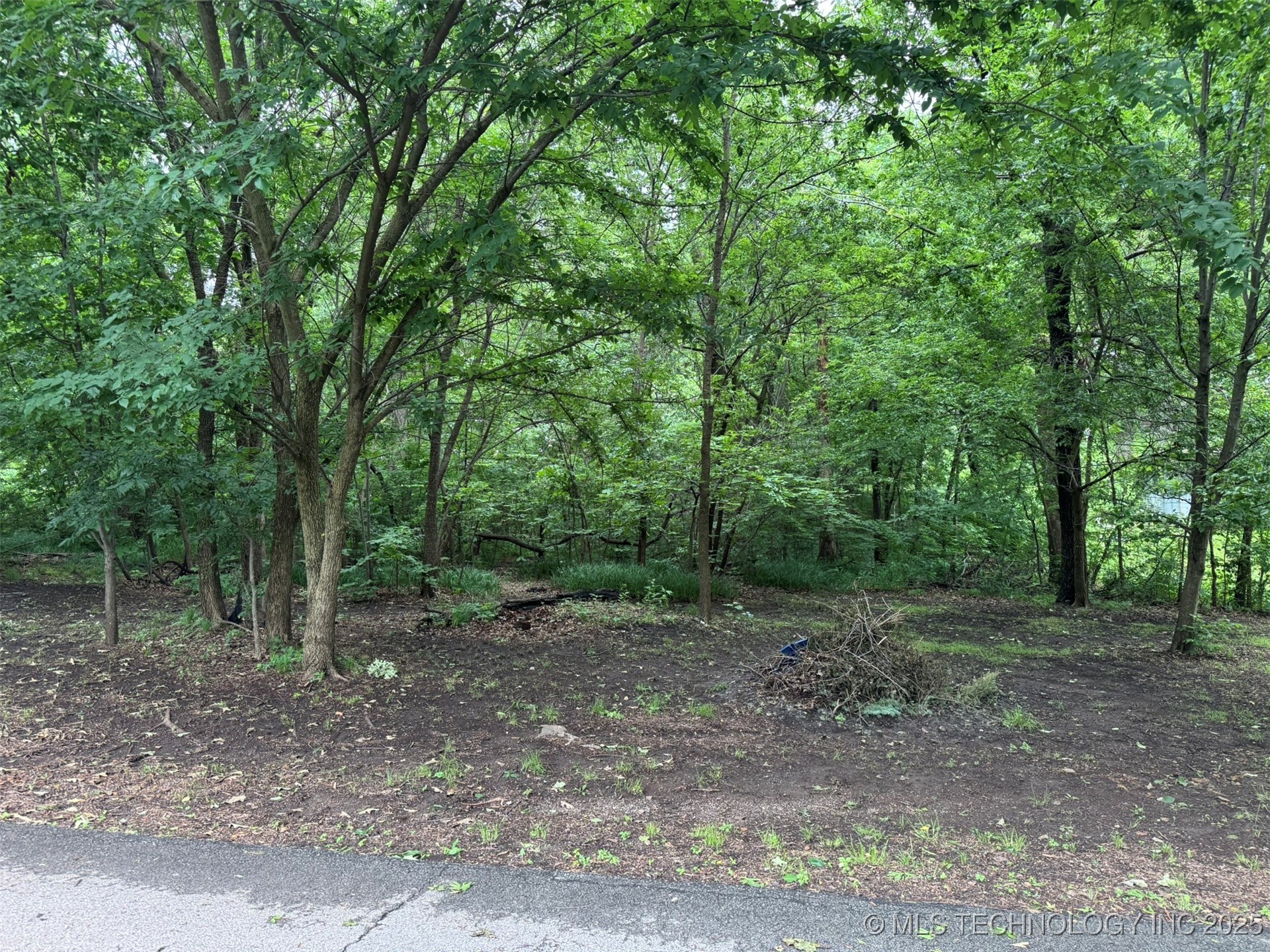 0 S Maple Street Property Photo 1