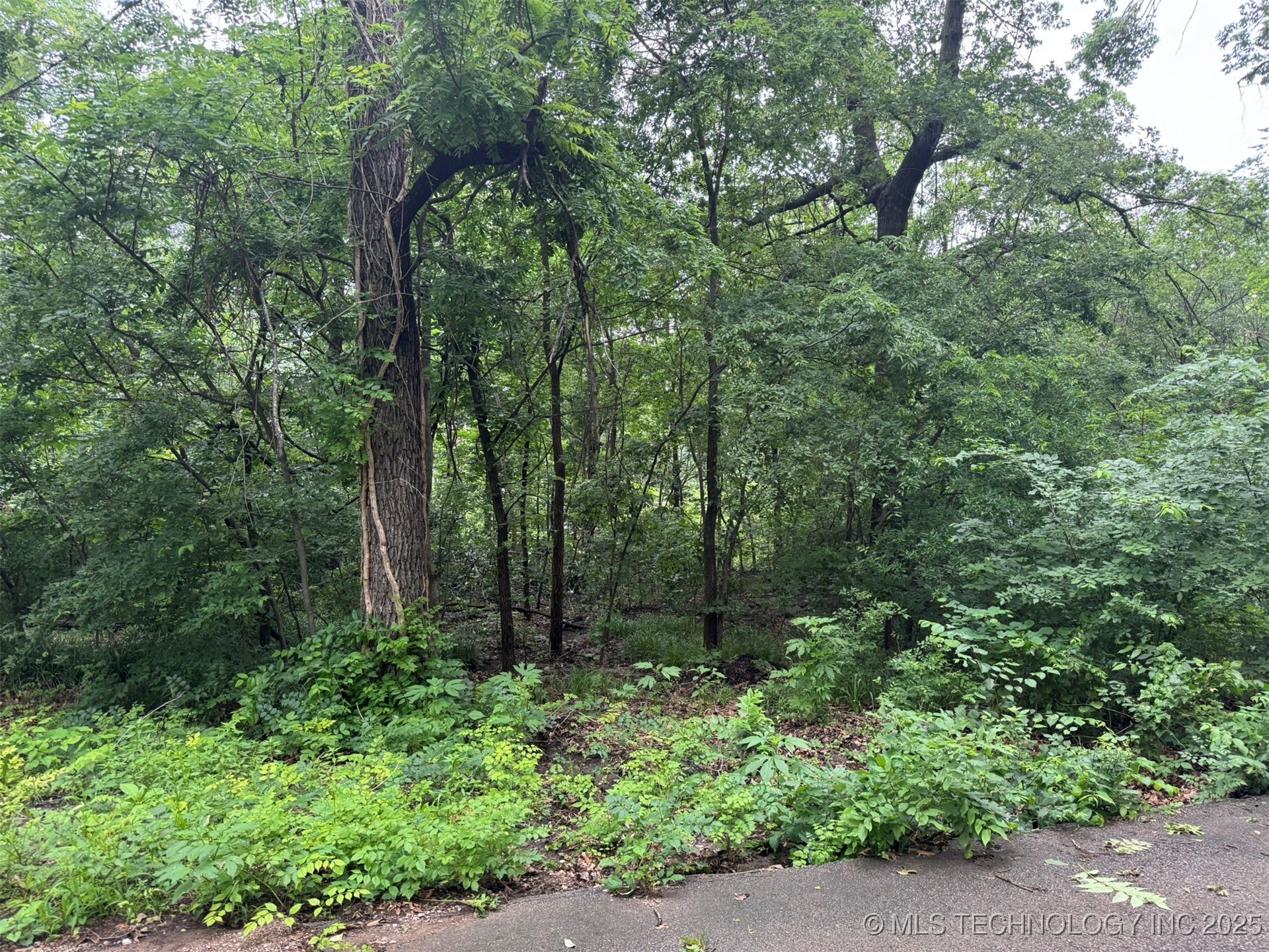 0 S Maple Street Property Photo 2