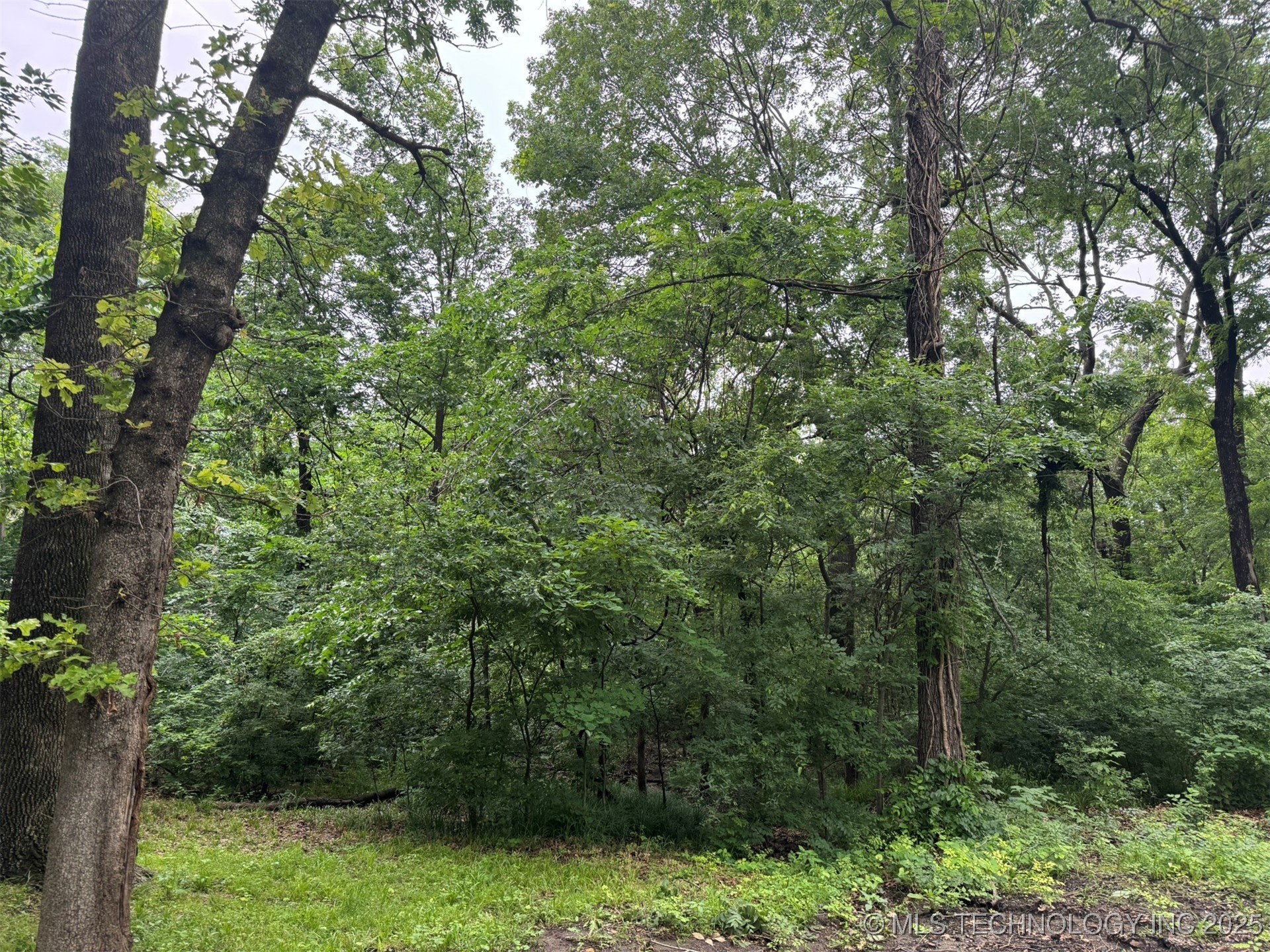 0 S Maple Street Property Photo 3