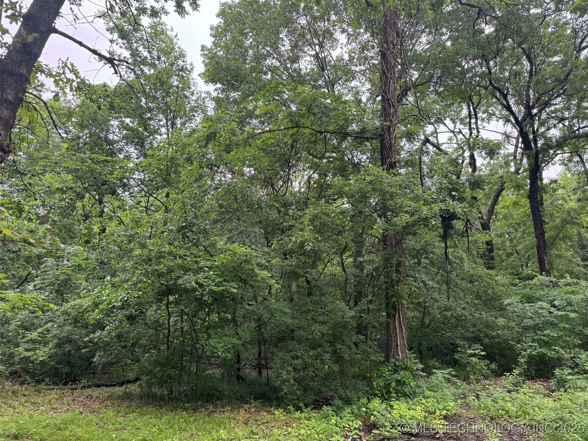 0 S Maple Street Property Photo 4