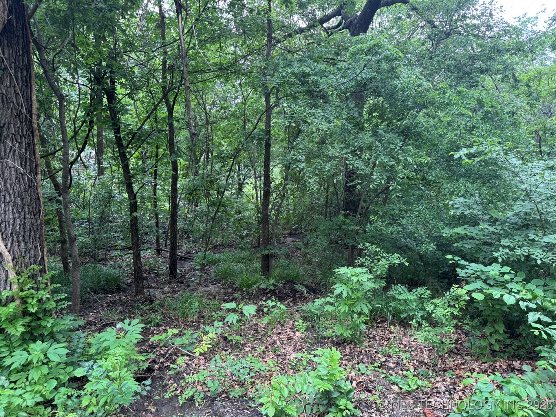 0 S Maple Street Property Photo 5