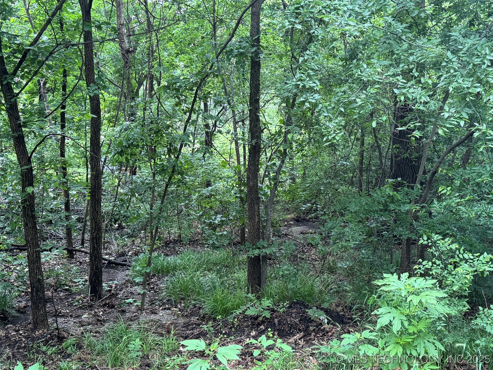 0 S Maple Street Property Photo 6