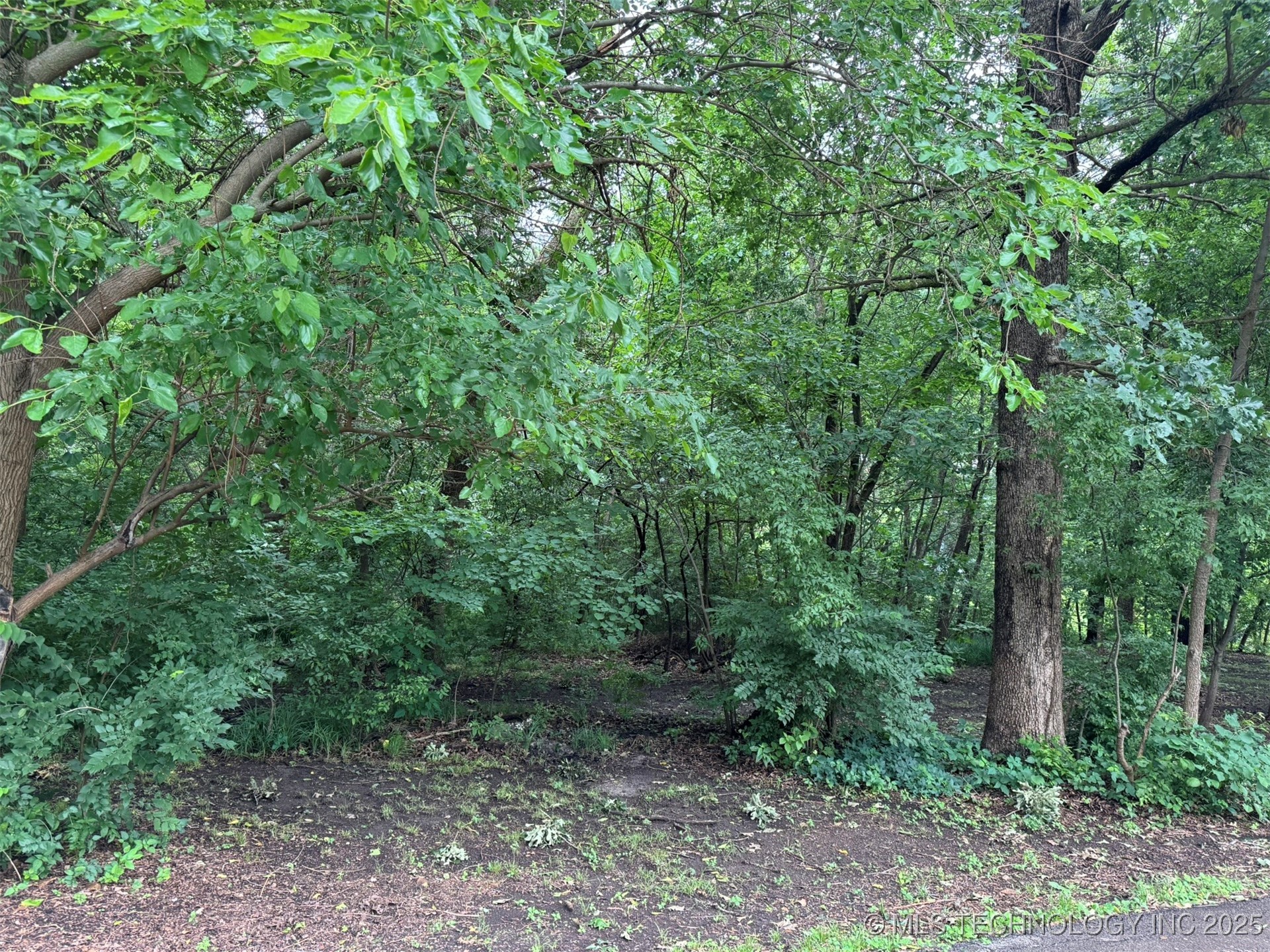 0 S Maple Street Property Photo 7