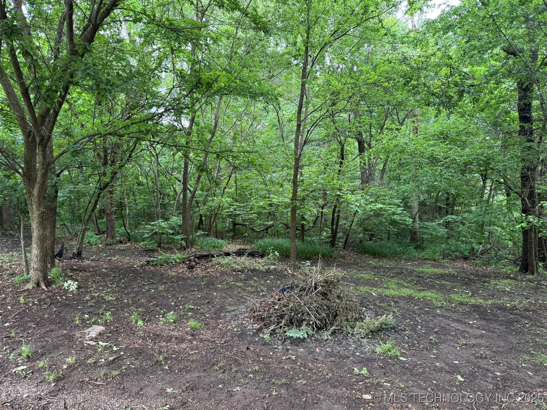 0 S Maple Street Property Photo 8