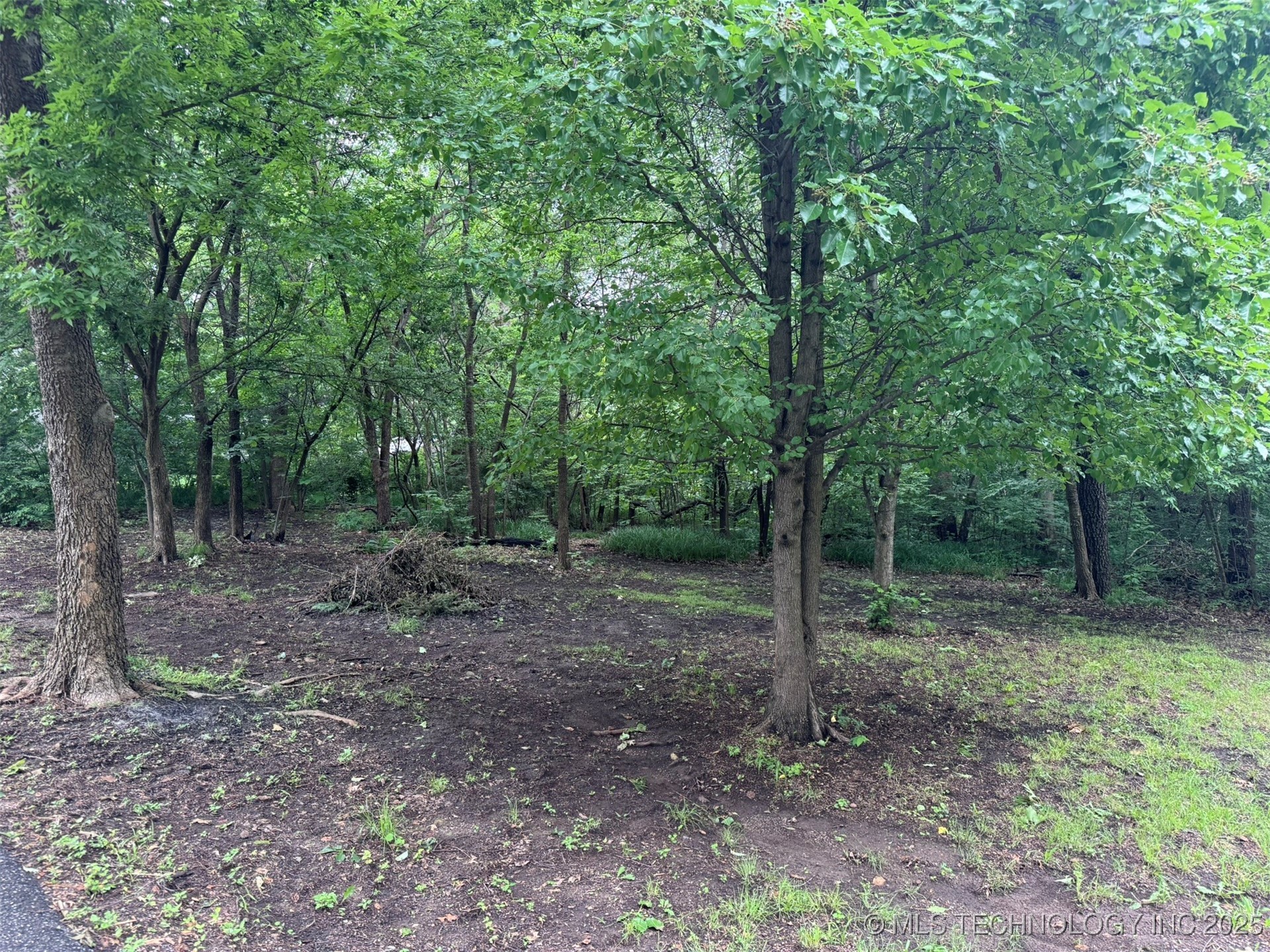 0 S Maple Street Property Photo 9