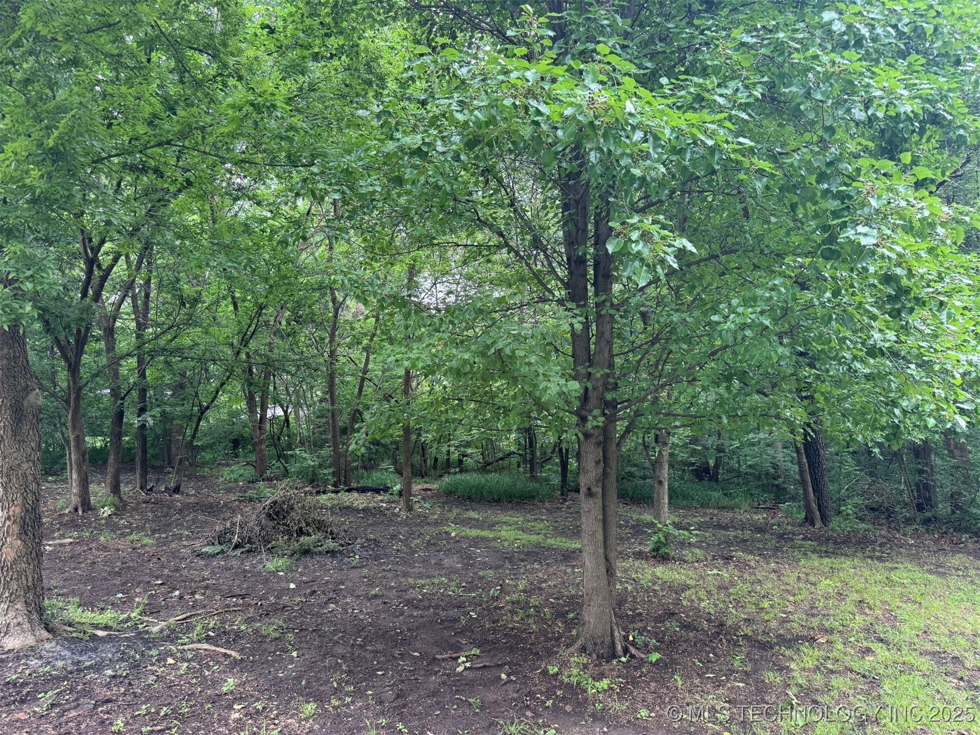 0 S Maple Street Property Photo 10