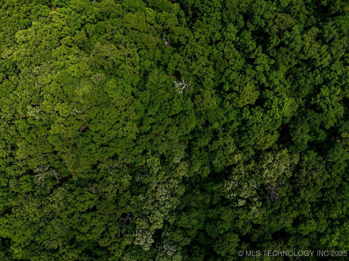 650 Property Photo 13