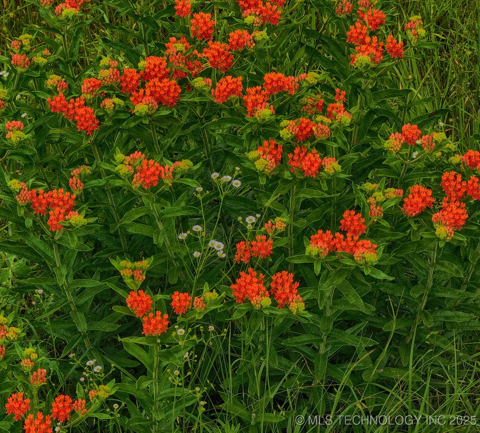 473763 E 993 Road Property Photo 9