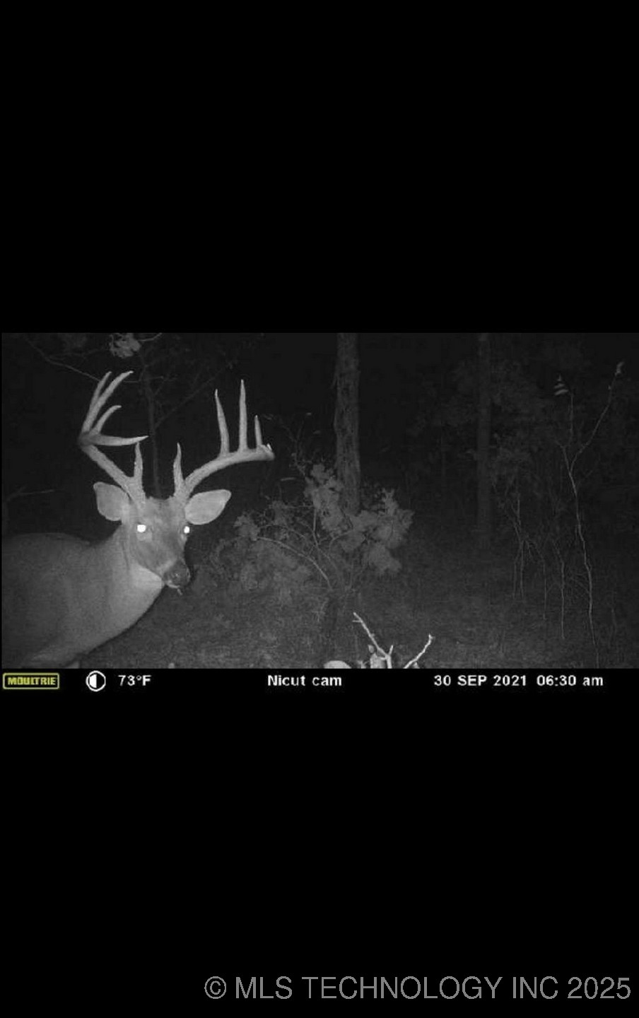 473763 E 993 Road Property Photo 44