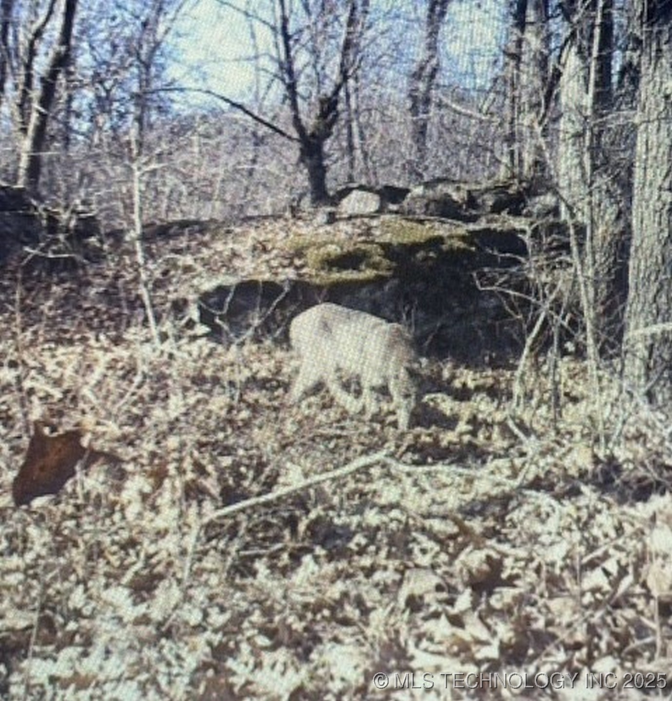 473763 E 993 Road Property Photo 45