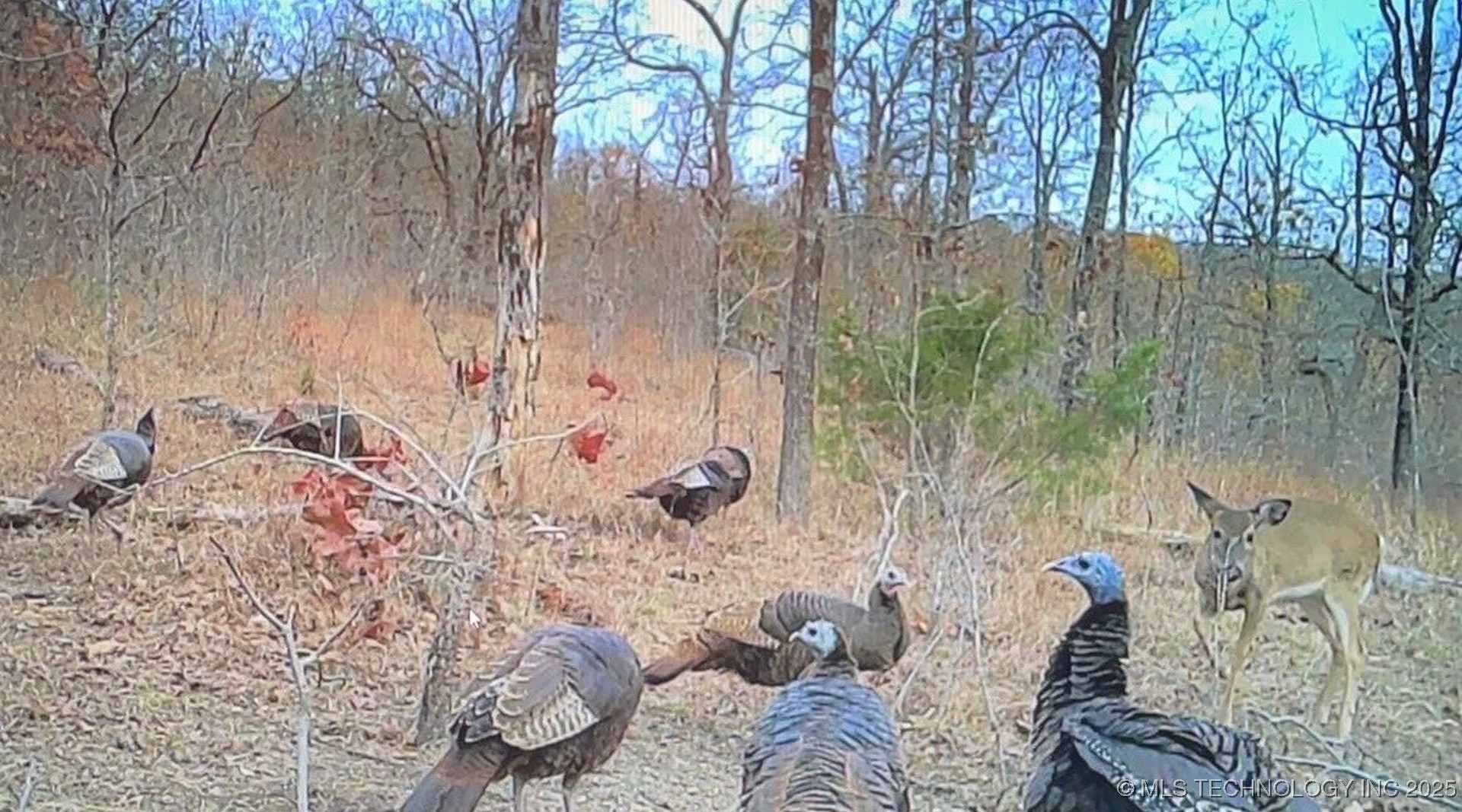 473763 E 993 Road Property Photo 46