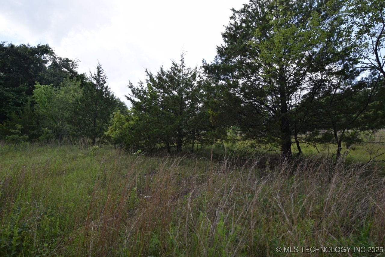 36005 Hwy 20 Property Photo 3